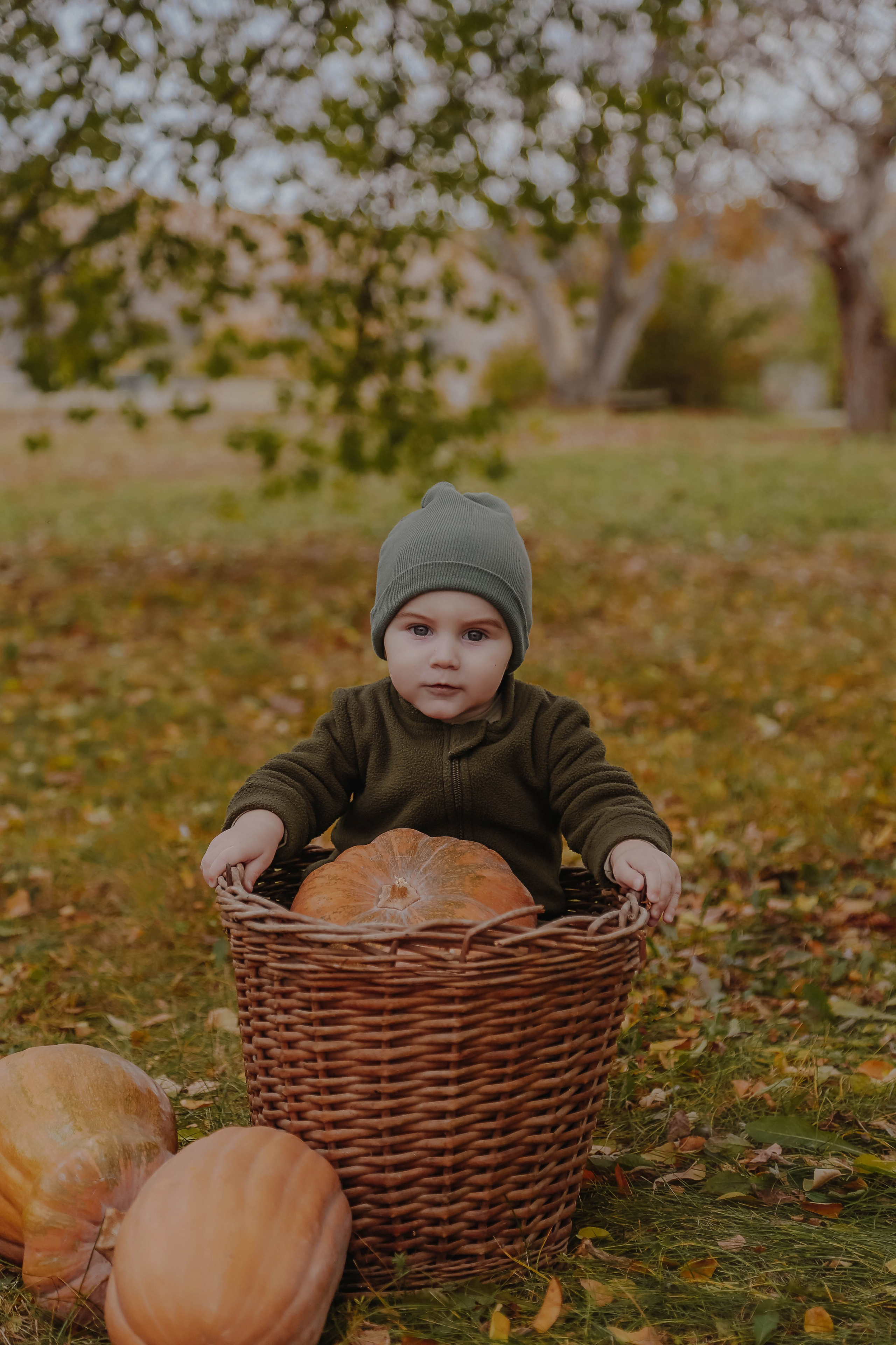 Фотопроект с тыквами. Семейный и детский фотограф в Симферополе и Севастополе