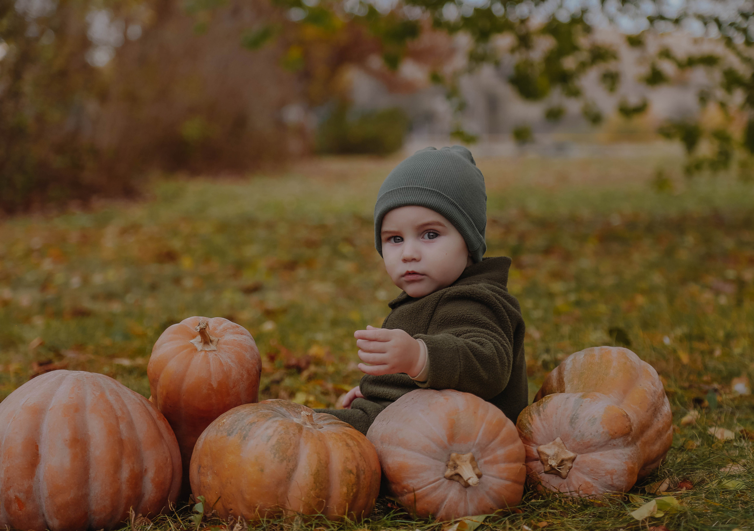 Фотопроект с тыквами. Семейный и детский фотограф в Симферополе и Севастополе