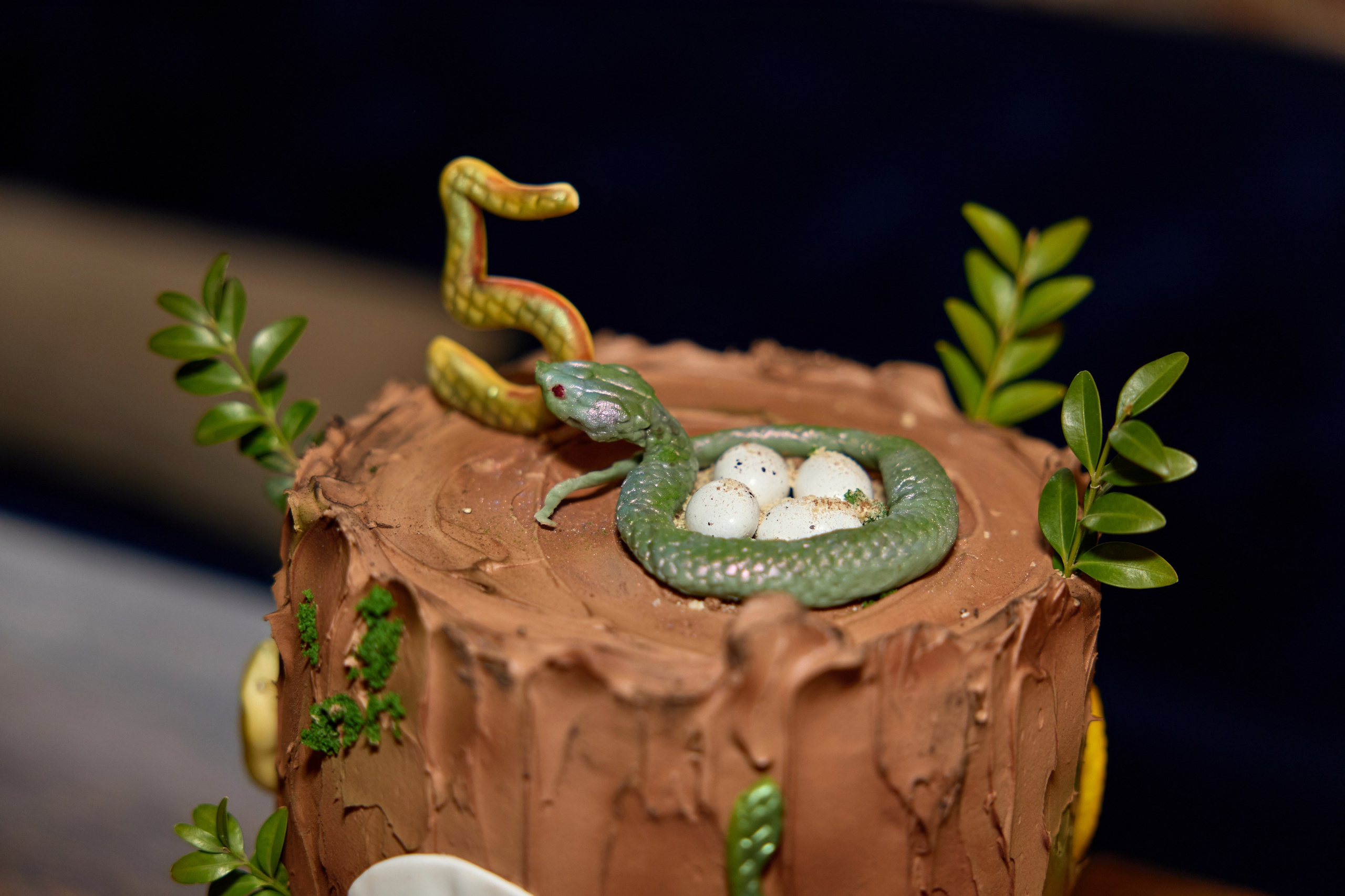 Фотограф на день рождения