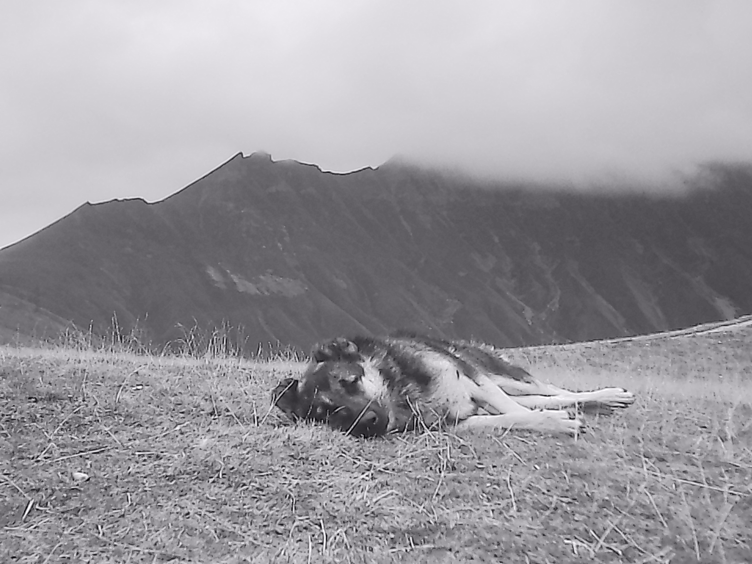 «Крошка 🐣». Anita_photo