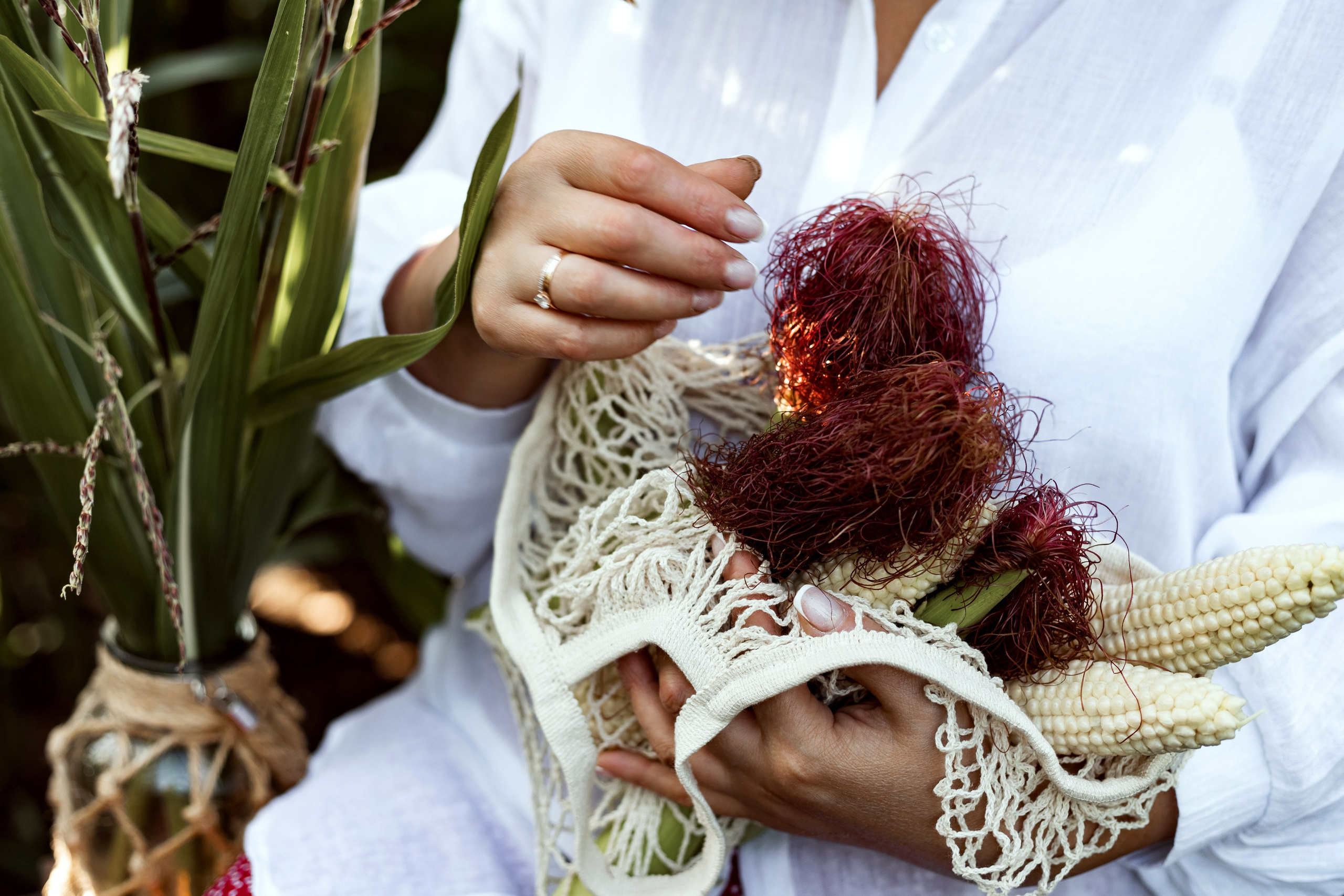 Елена в Кукурузе. Август 2024. Фотограф Пермь. Свадьбы. Семья и дети, школа, д. сад. Фотокниги
