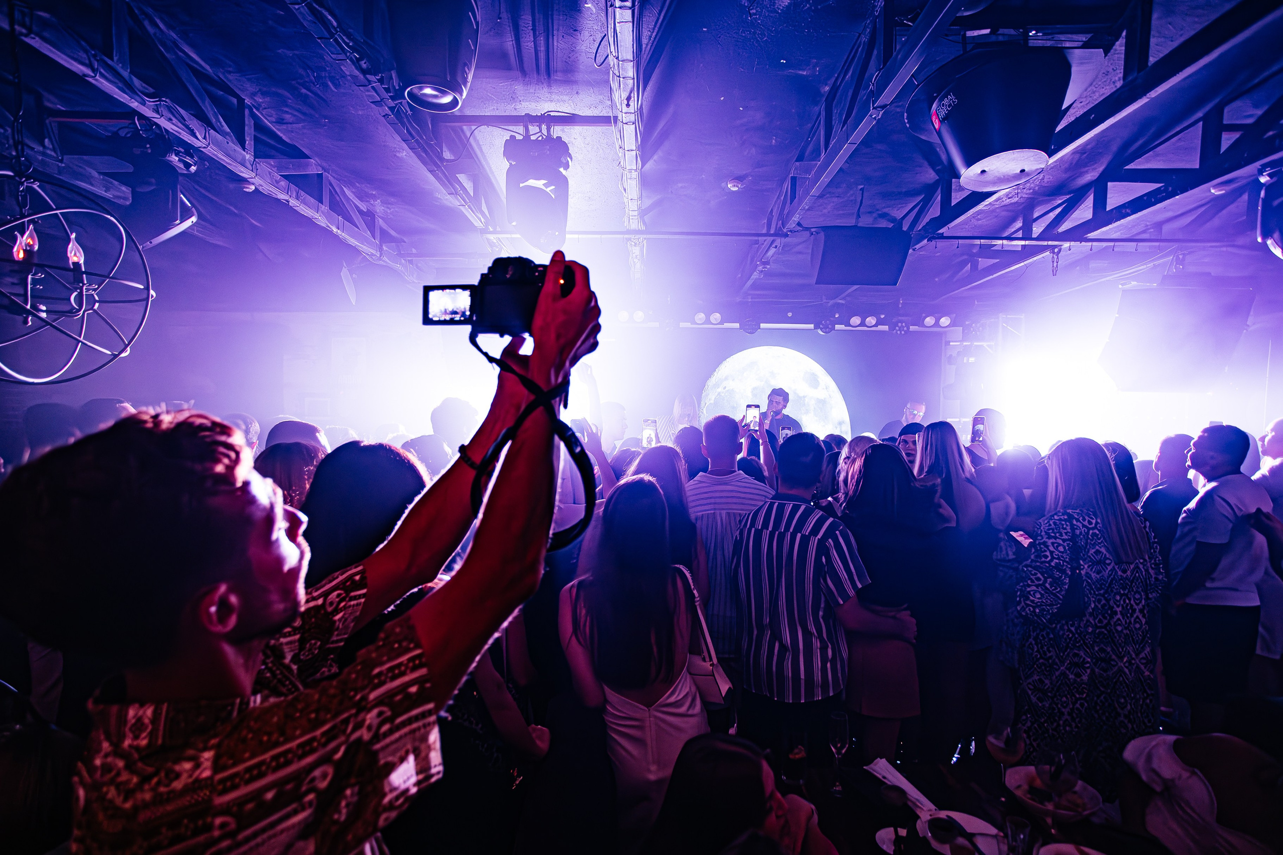 Чайка_на_пляже_Андро_Ялта_24.08.2024. Аминов Руслан | Фотограф