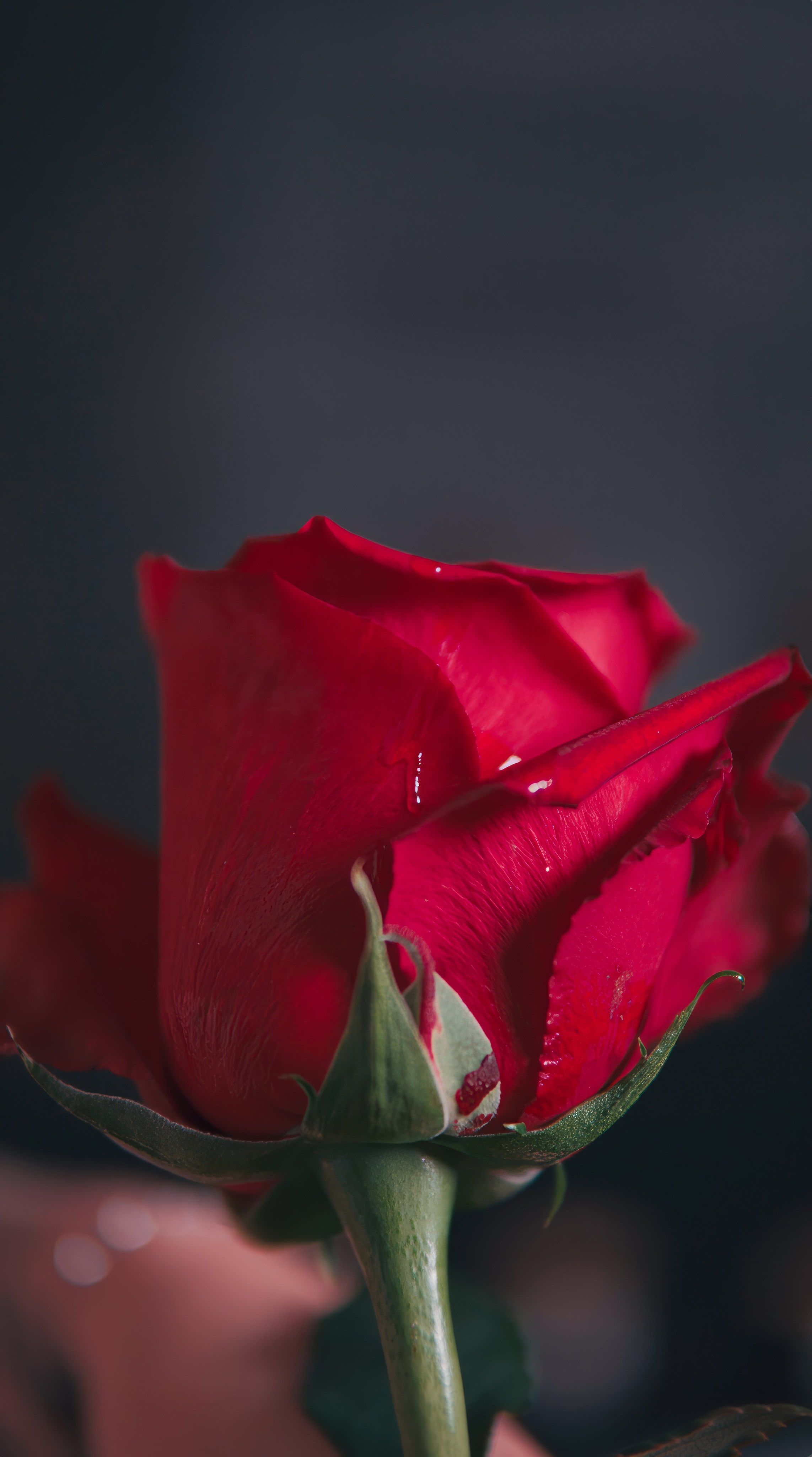 Стоп-кадр Freeze frame. Видеограф и фотограф в Екатеринбурге Крисковец Дмитрий