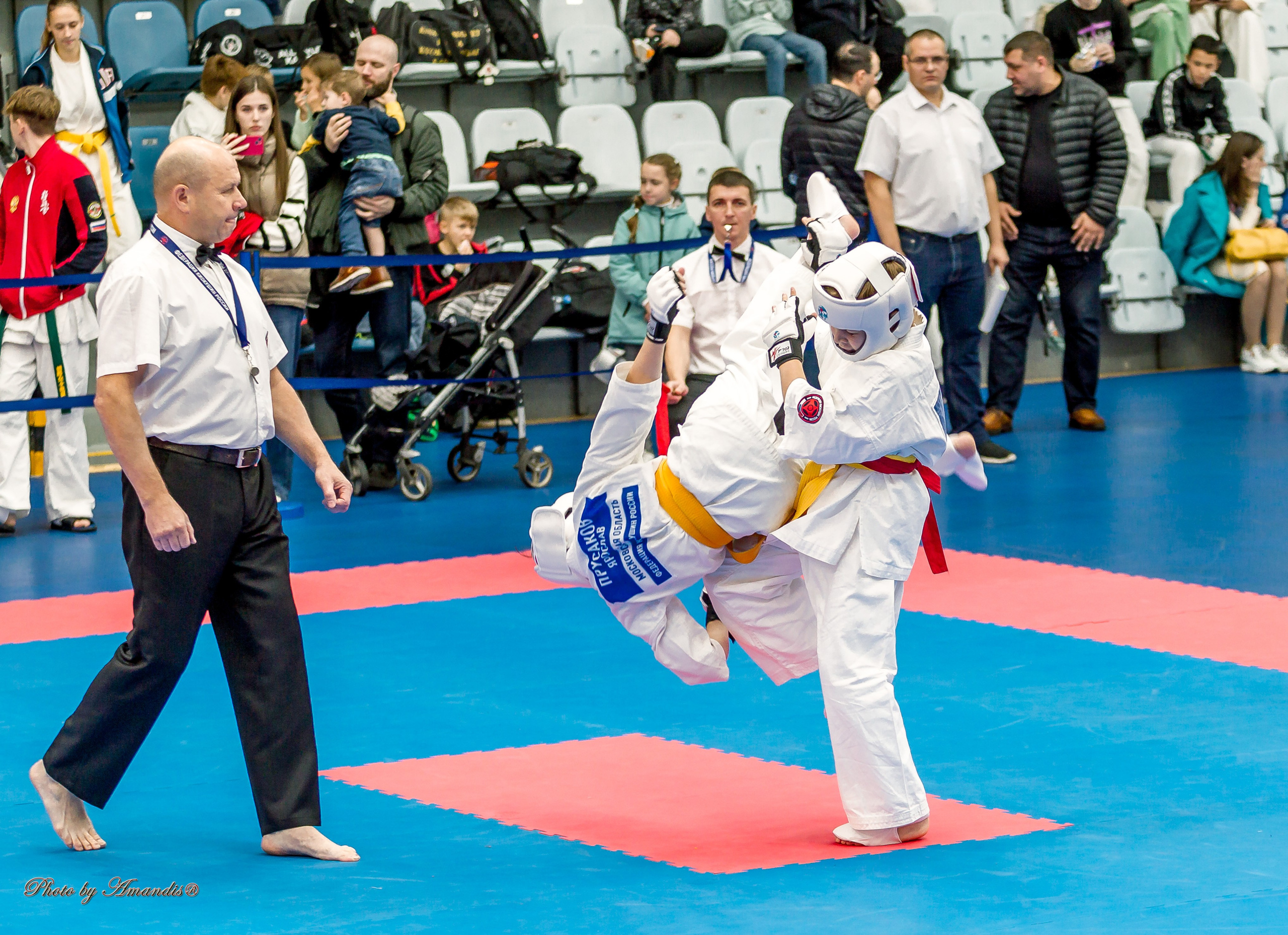 Чемпионат по Киокушинкай Центрального Федерального округа. Репортажная съемка в Москве и области. Анималистика