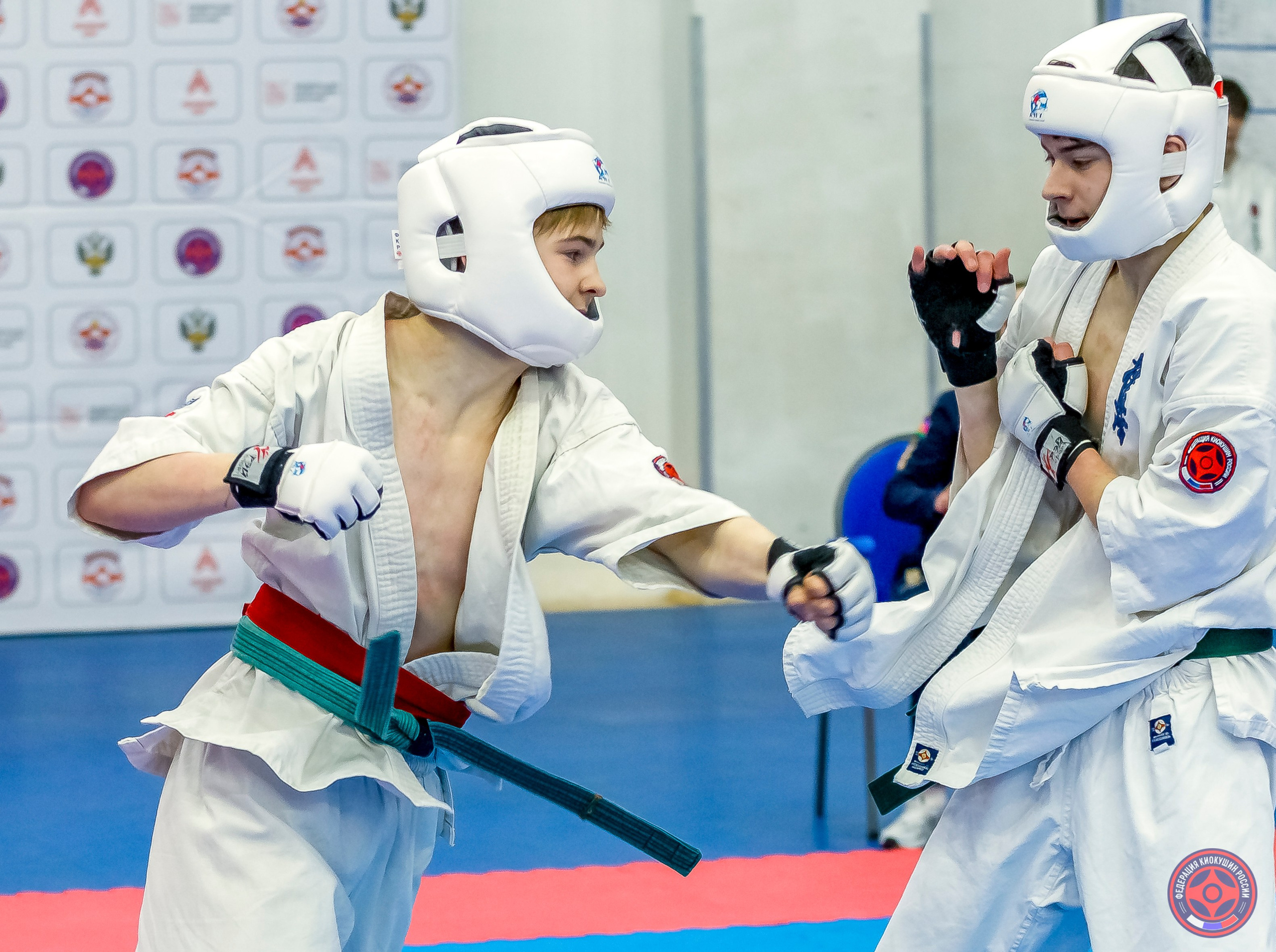 Международный турнир по киокушин «Открытый кубок Seiken». Репортажная съемка в Москве и области. Анималистика