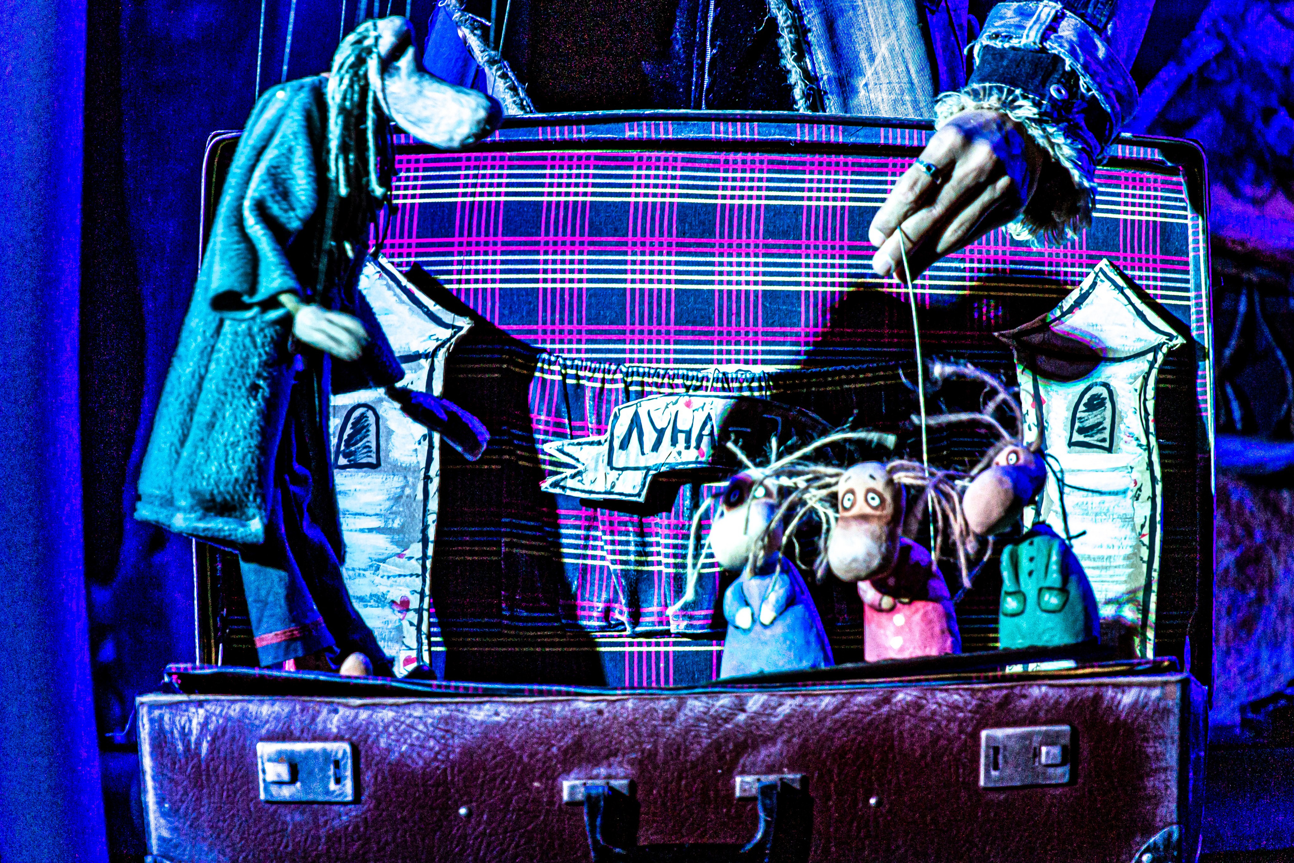 «Муми тролли и большое наводнение». Фотограф в Сочи Юрий Шептаев