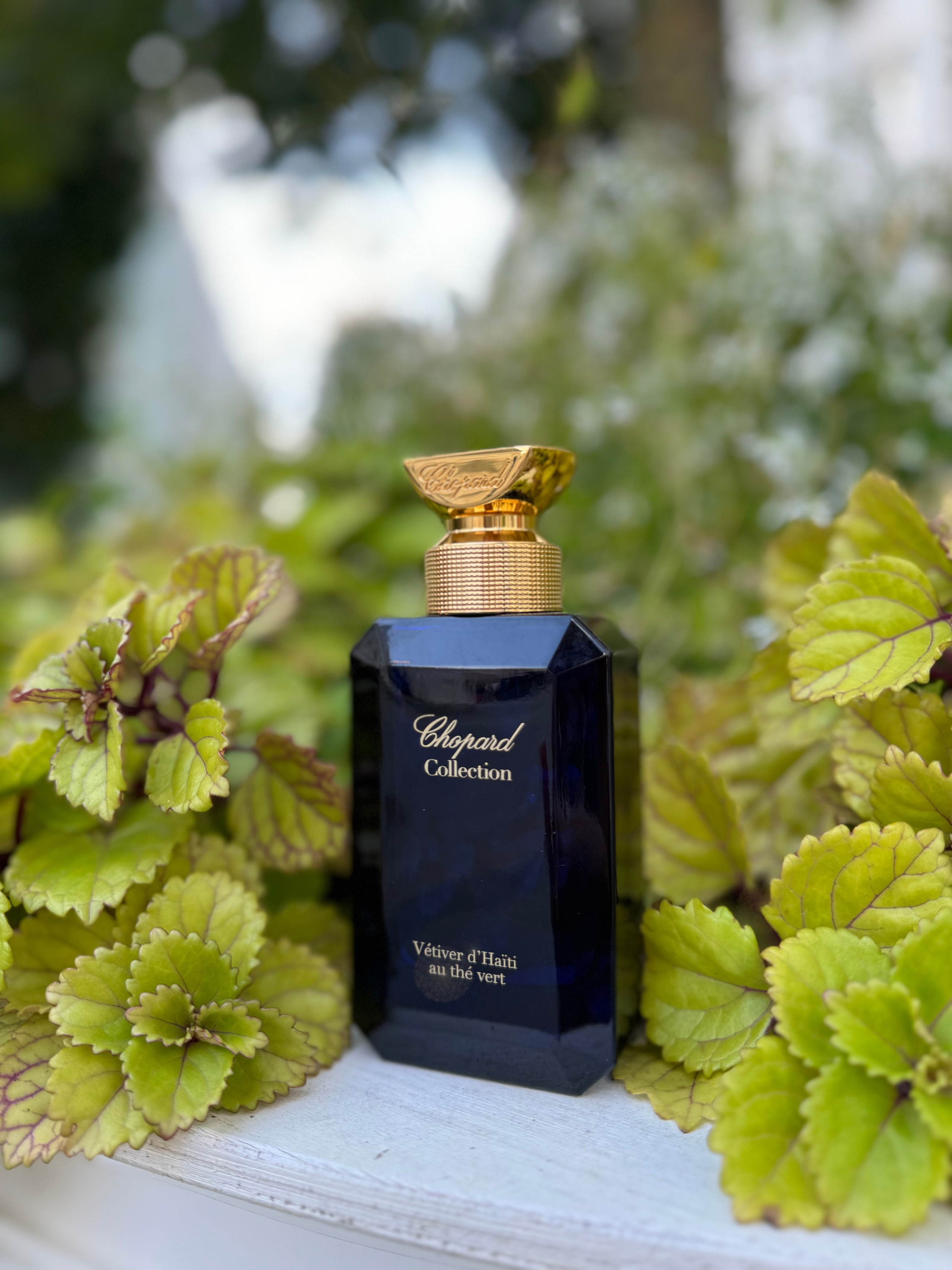 Парфюмерный распив. Pavlus Art — где материя обретает Душу