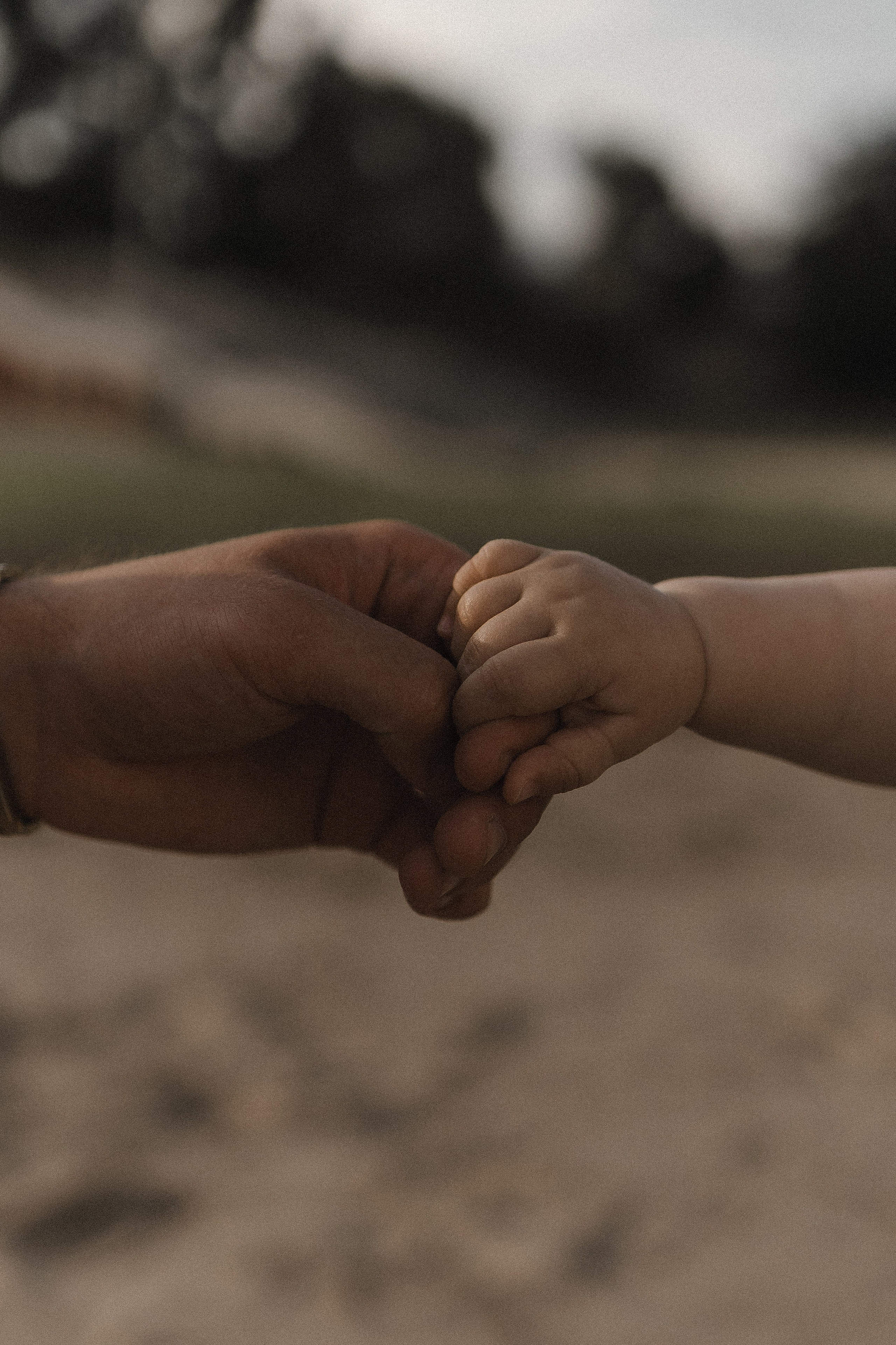 Семейные. Главная