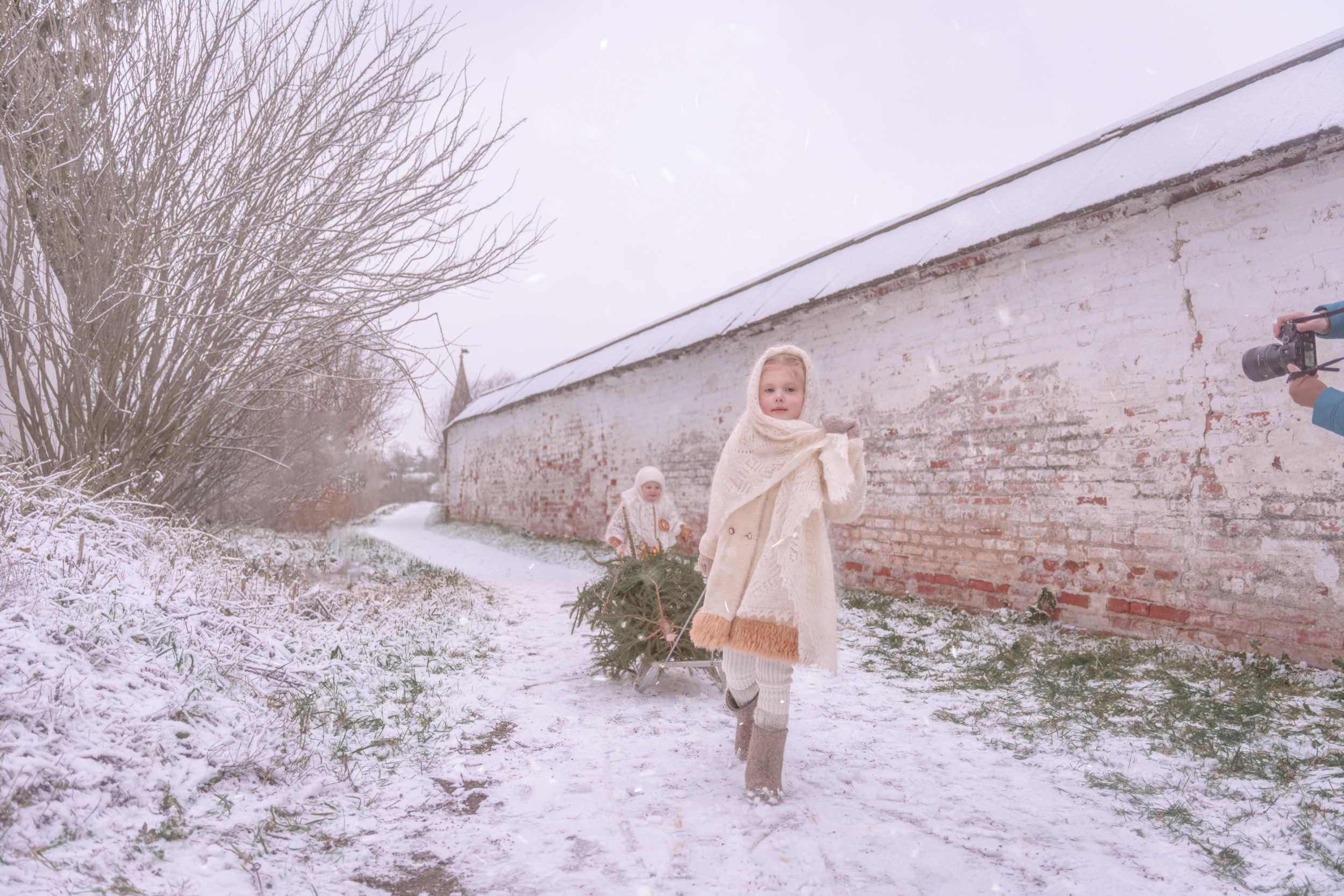 Дети везут елочку на санках на фоне зимнего пейзажа в Суздале