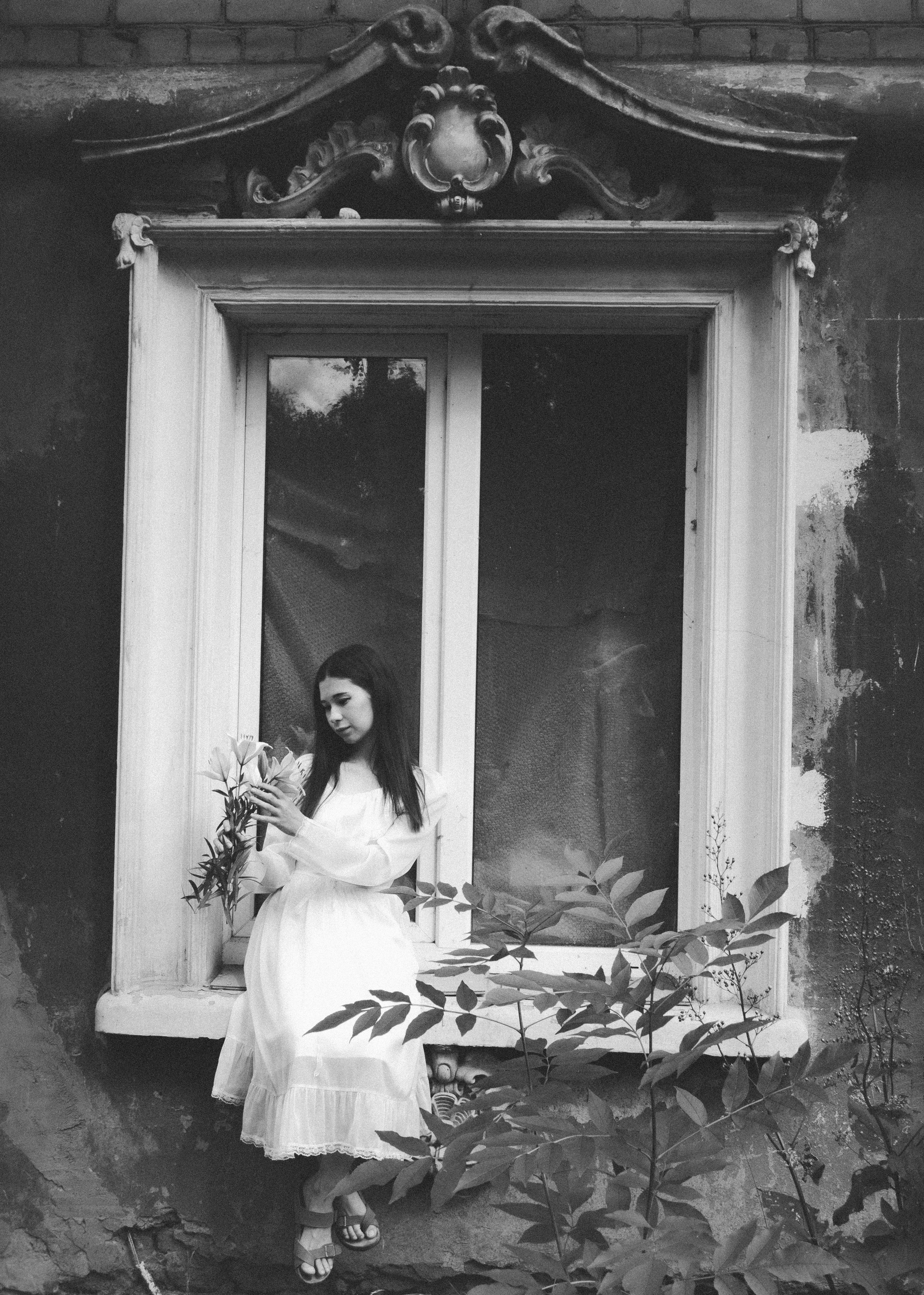 Цветы | Амалия