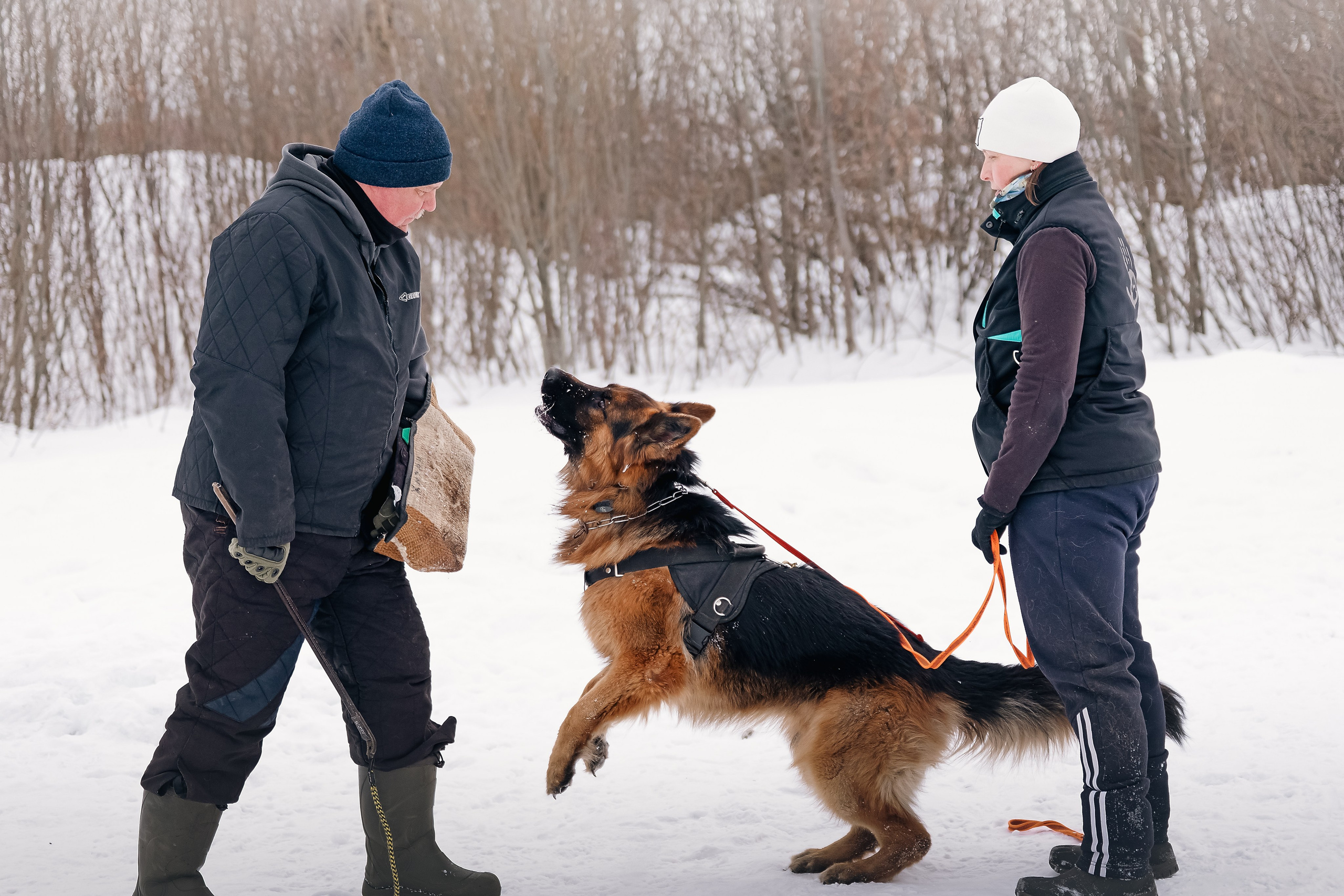 Репортажная съемка. Фотограф-анималист Нижний Новгород