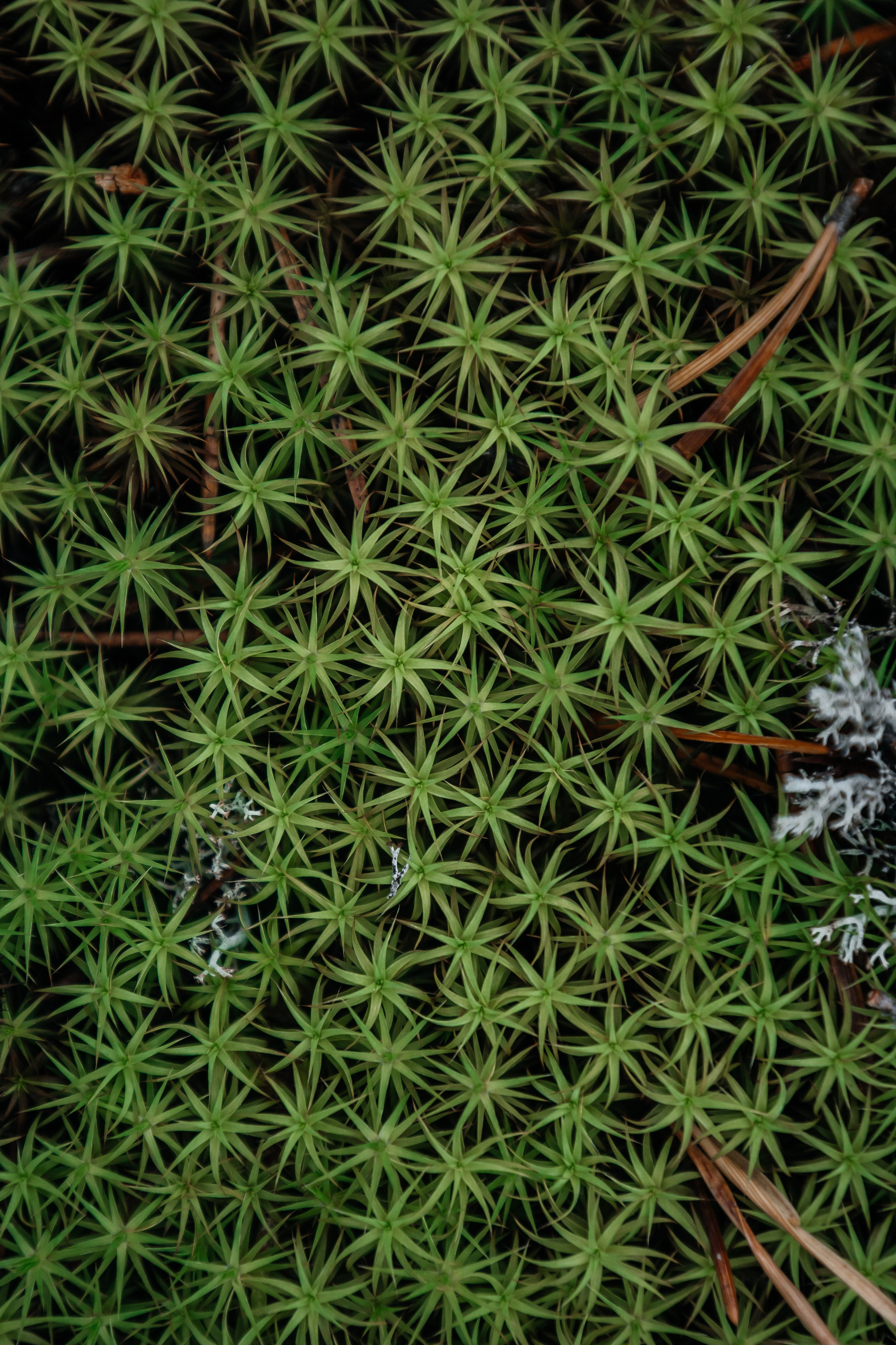 Спортивная фотосъемка, яхтинг, фотосъемка. Фотограф Ольга Че