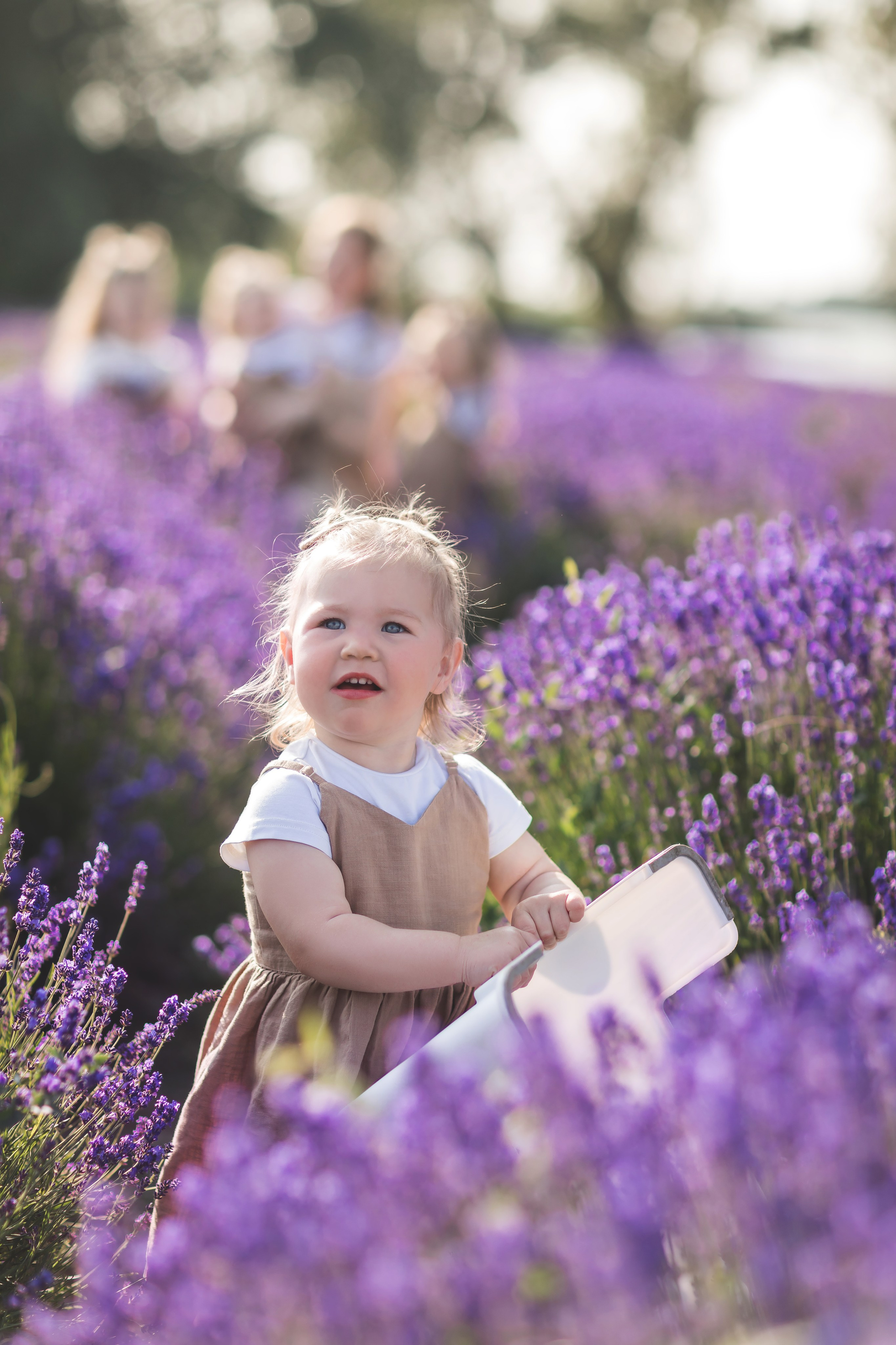 Лаванда. Семейный и детский фотограф Краснодар Валерия Власенко