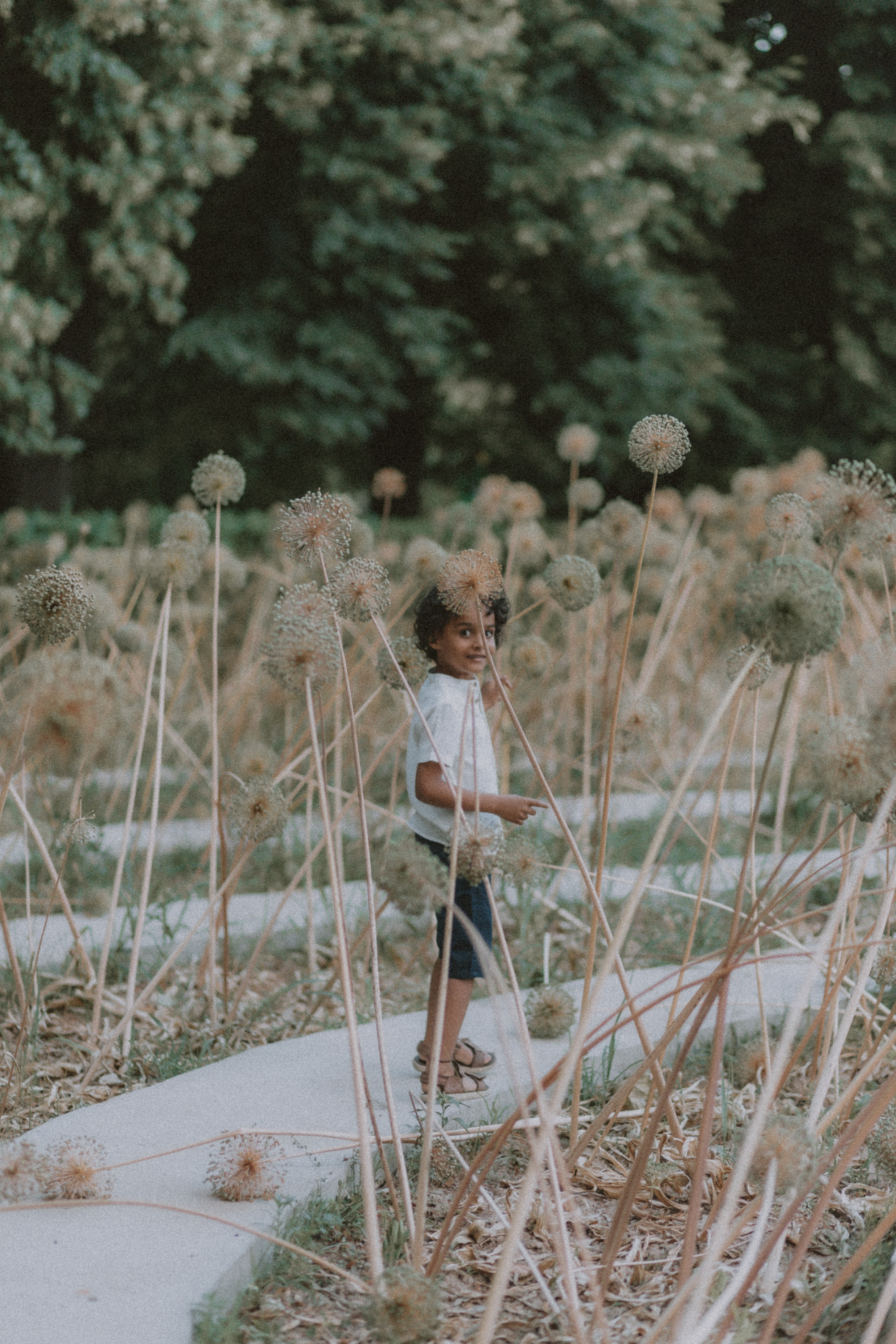 Ахмед. Alesya Gee Photographer Uzbekistan