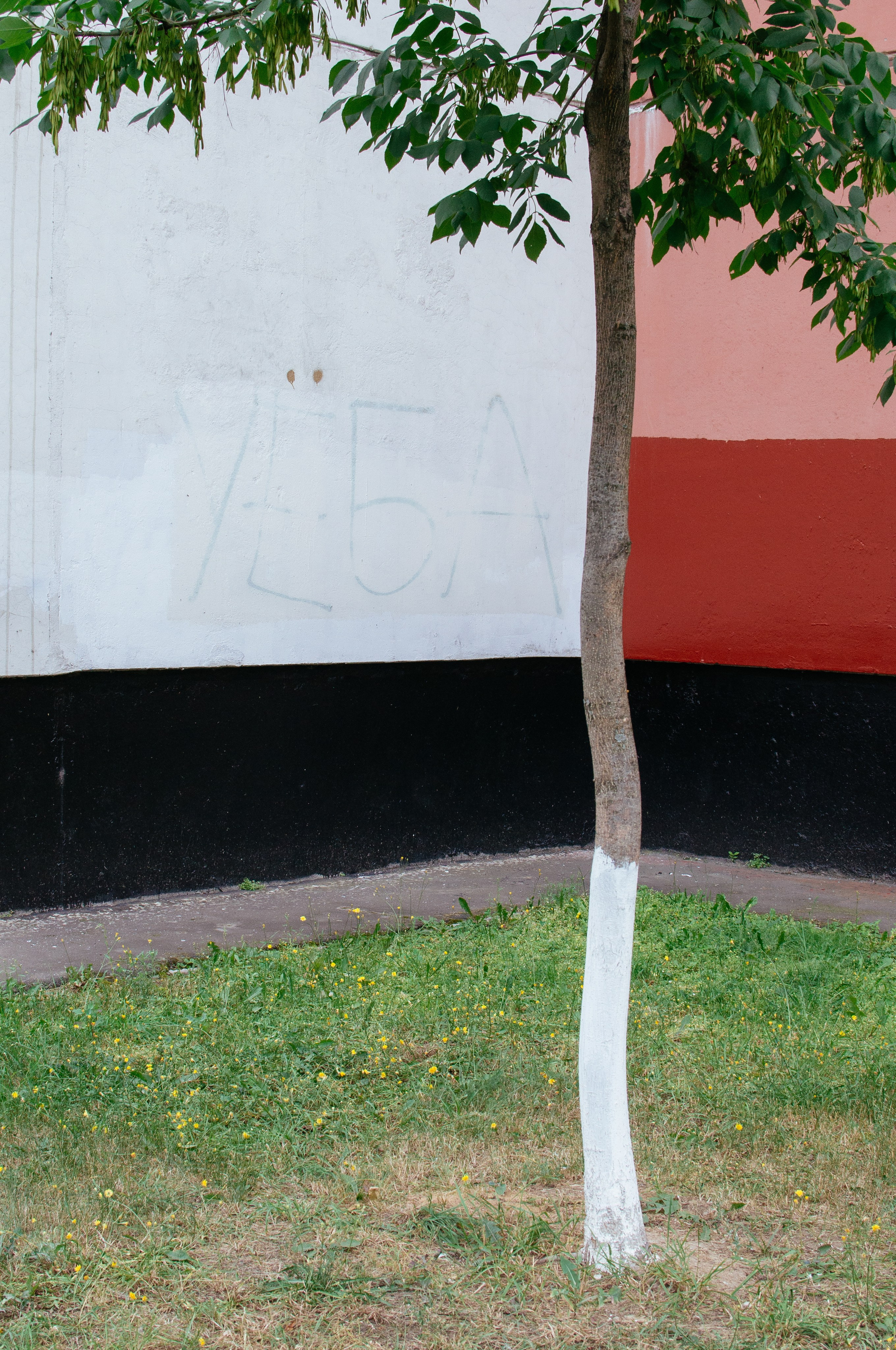 Уличная фотография. Фотографии Дмитрия Захаренко