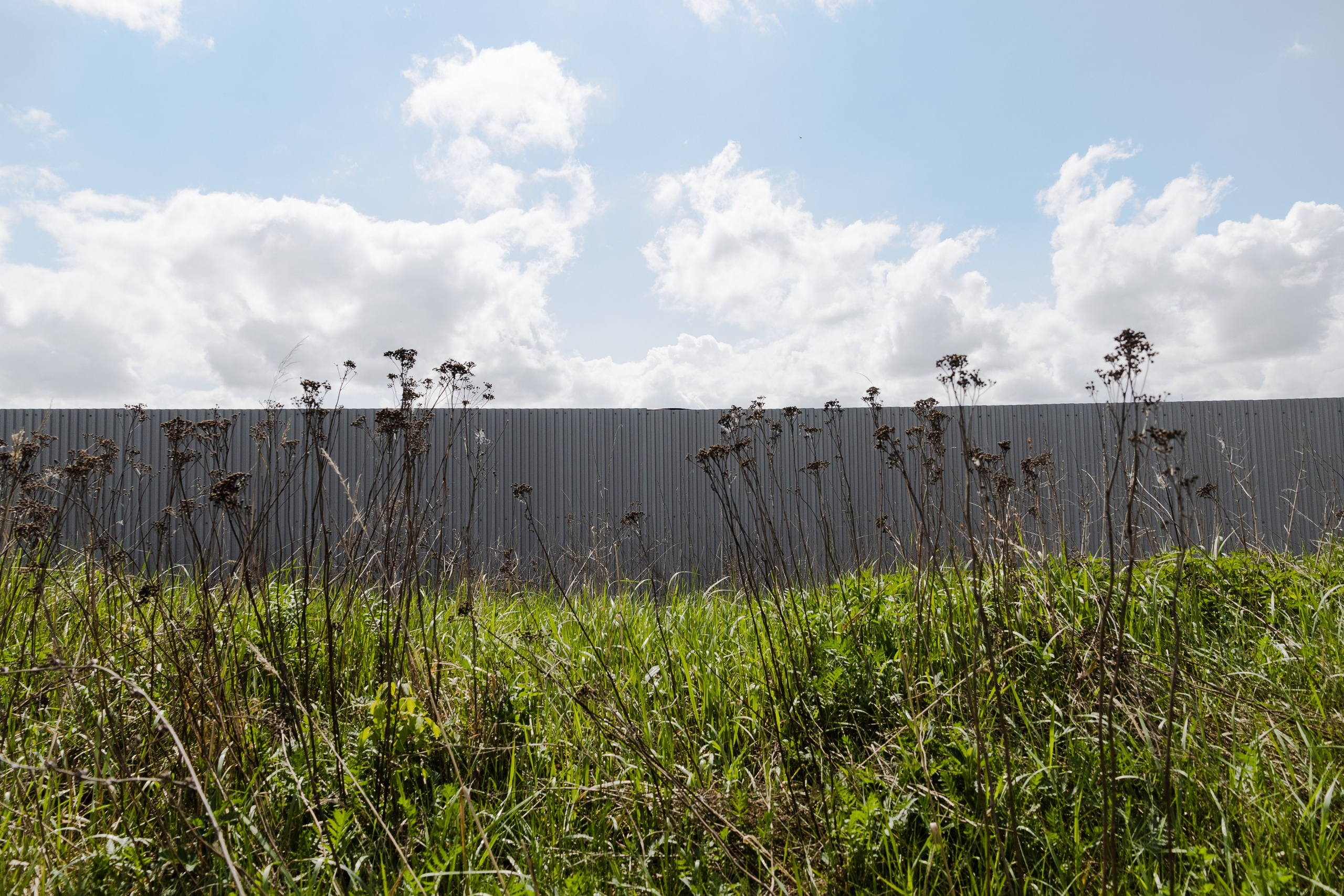 Открытый мир. DASHA KALNINA