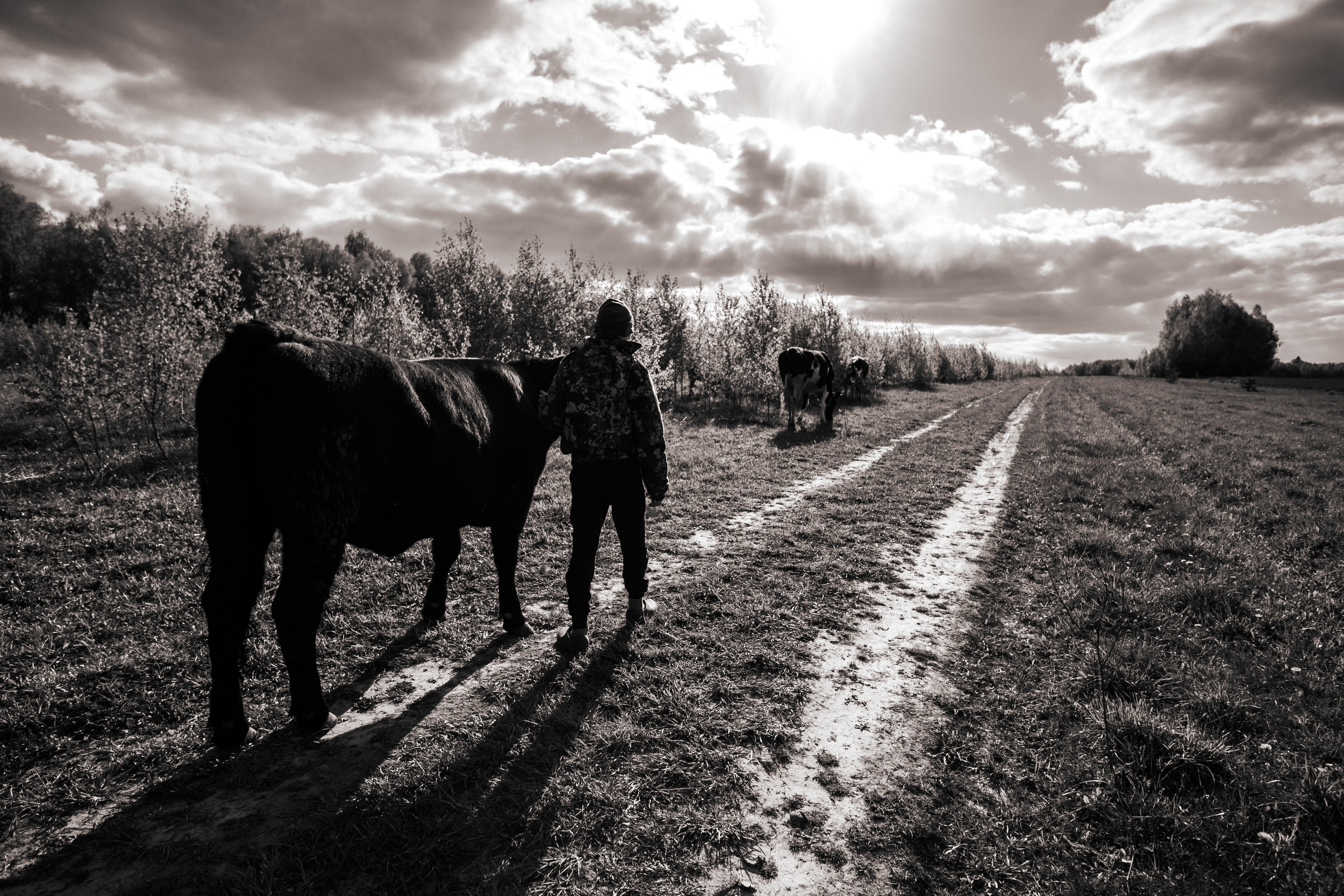 ПЕЙЗАЖ. Фотограф Николай Костюк