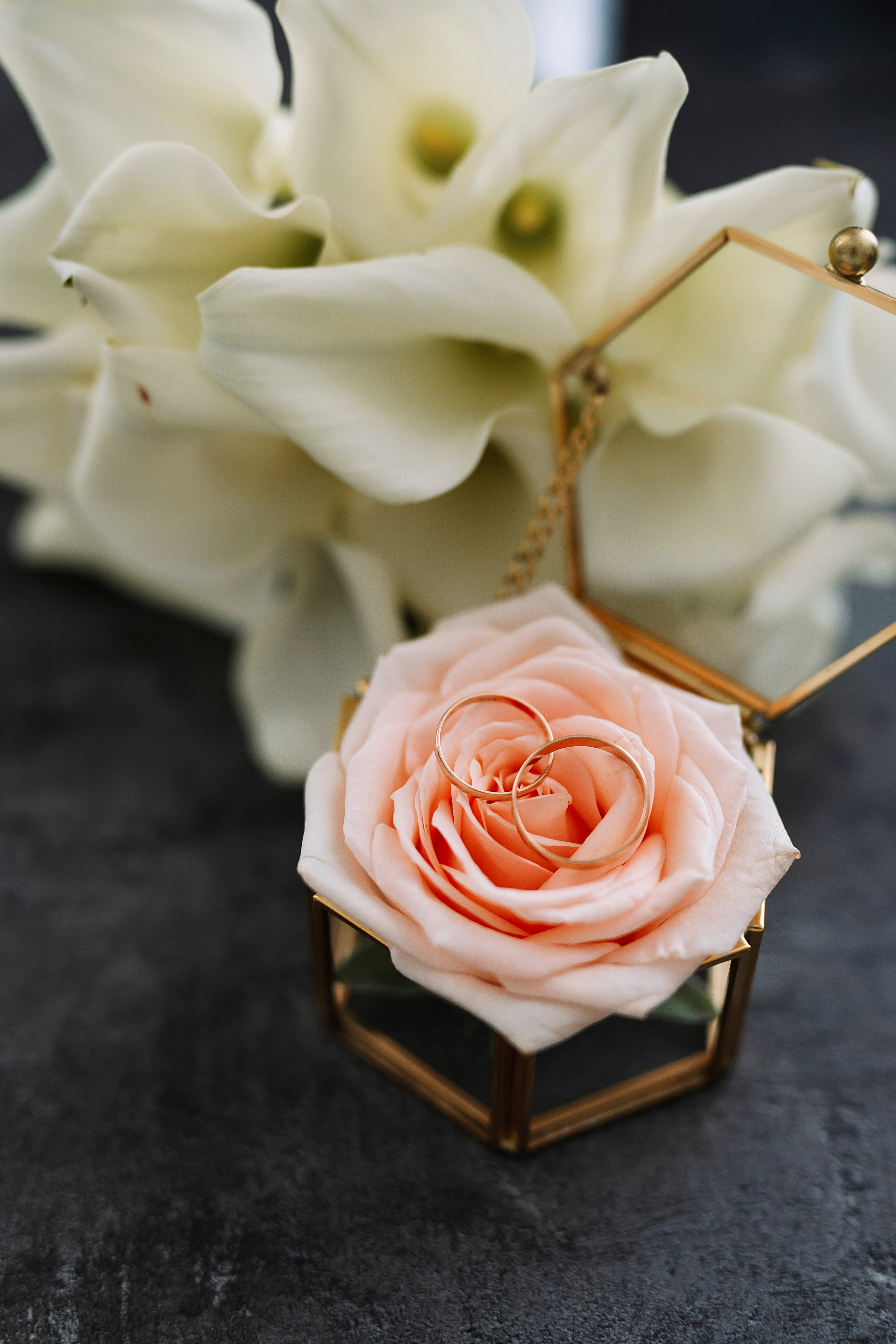 Антон и Мария. Фотограф Москва Мария Захарова