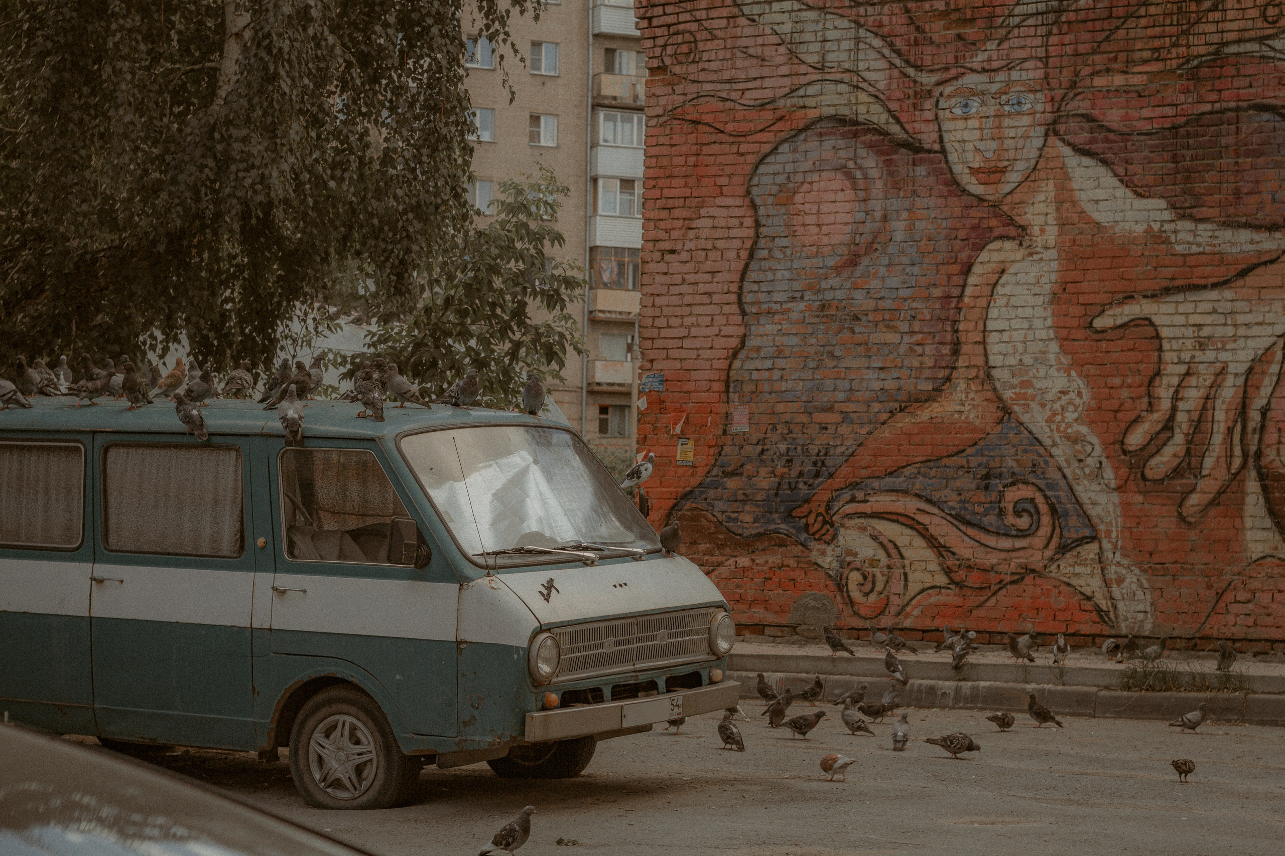 Фотограф в Новокузнецке