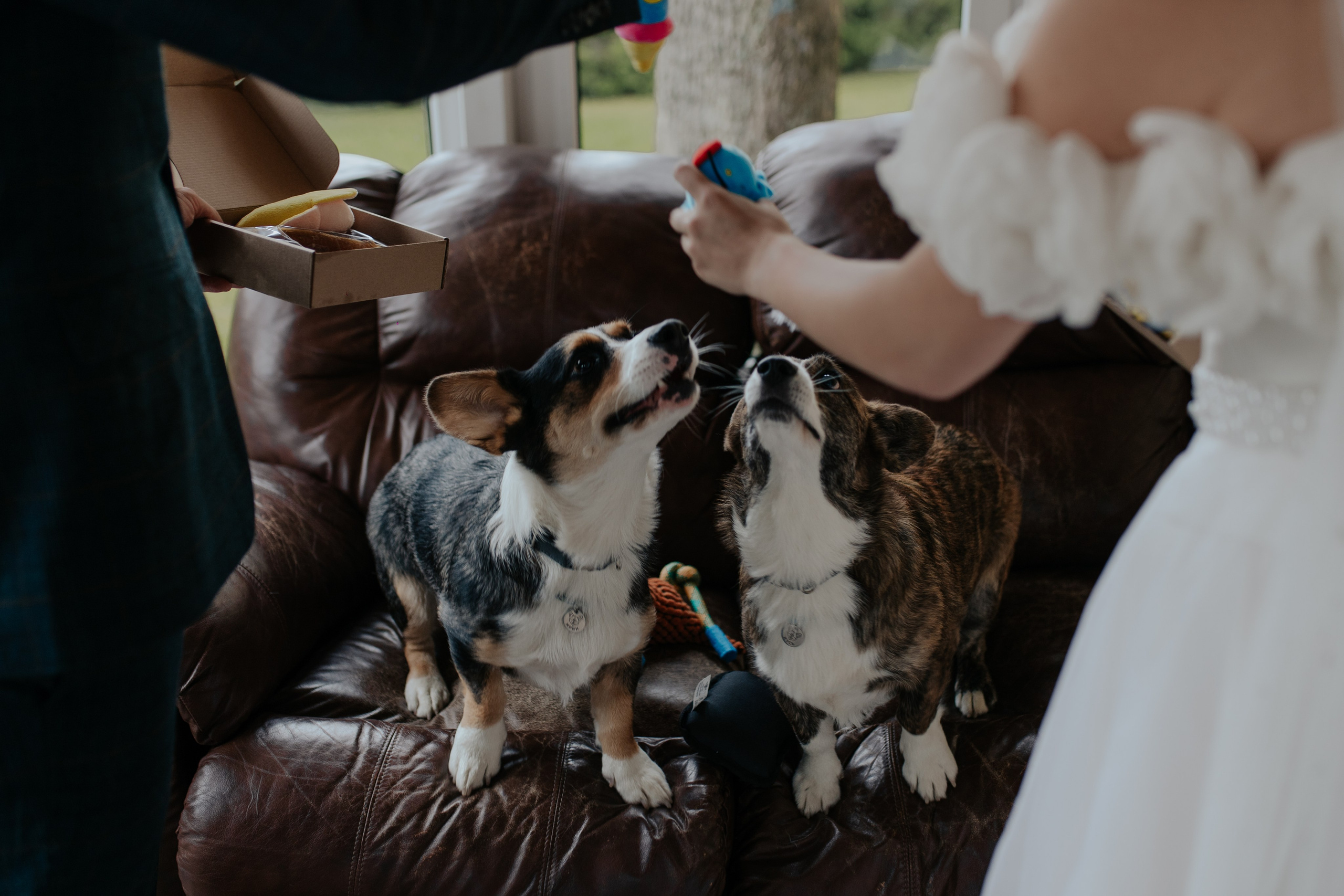 Ксения & Алексей. Фотограф в Санкт-Петербурге Лиза Семченкова