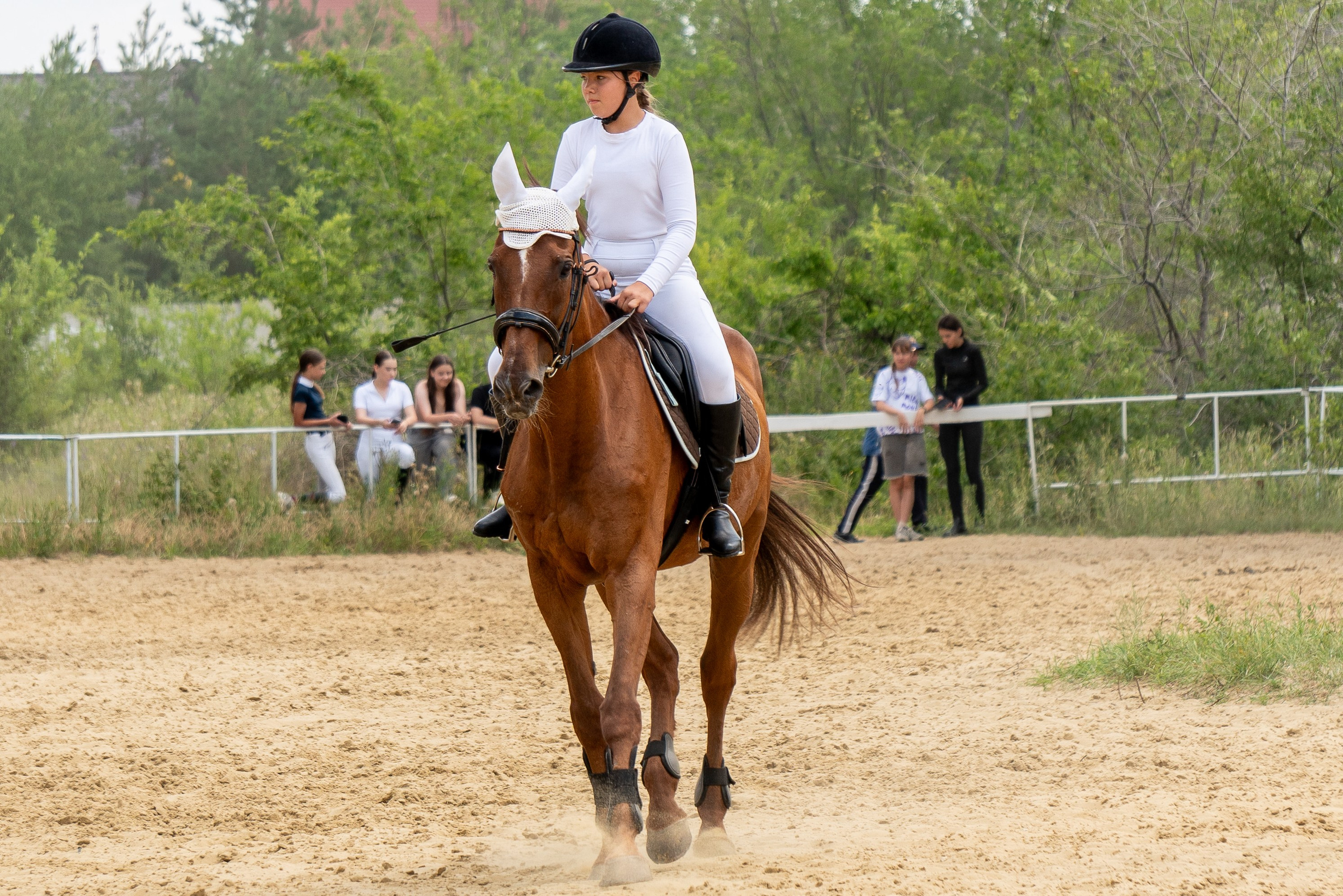 Соревнования по конкуру, Луганск. Фотограф в РФ и ЛНР Юлия Федосеева
