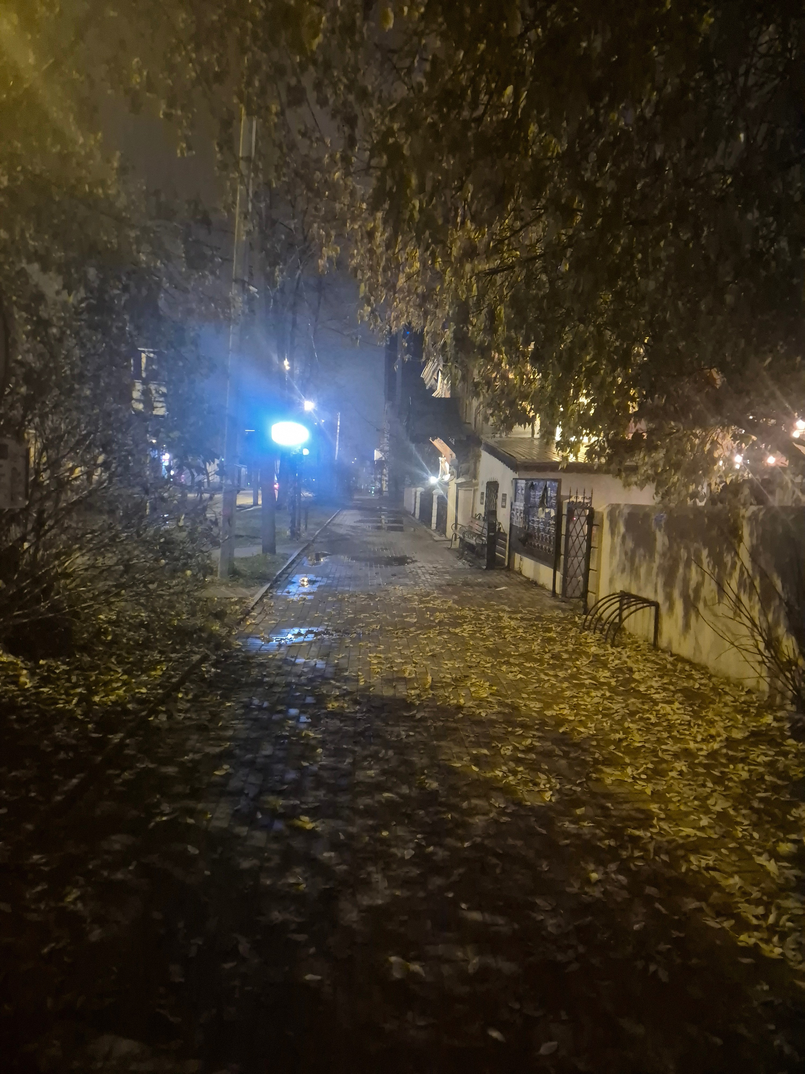 Осень в полную силу. Мокро, скользко, красиво