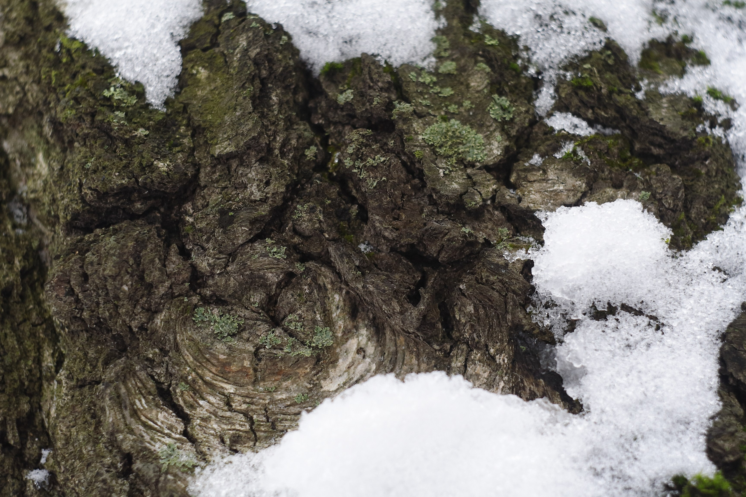 Старое природное, отбирала Katamount (Катерина Горохова). Главная