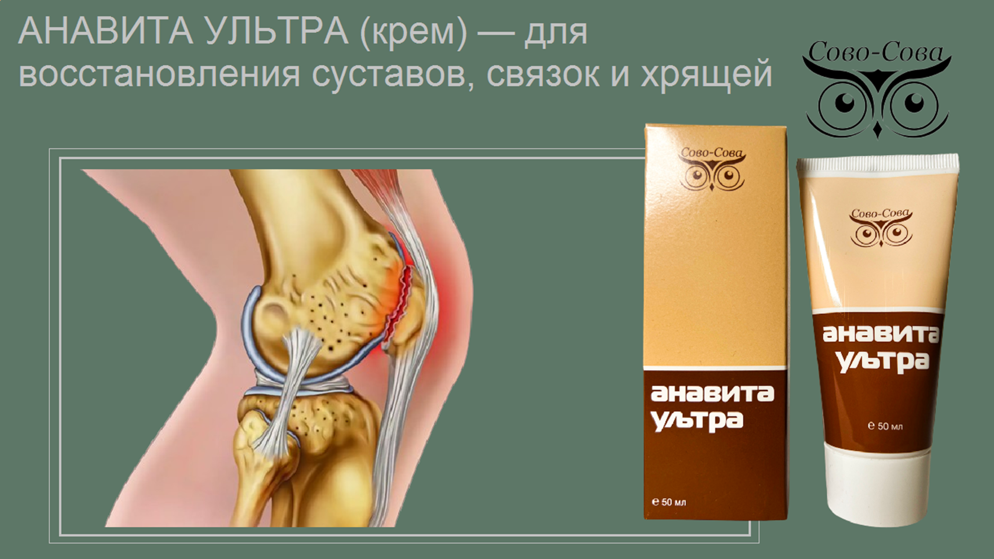 КПД компании Сово-Сова. Сово-Сово — Омоложение и оздоровление!