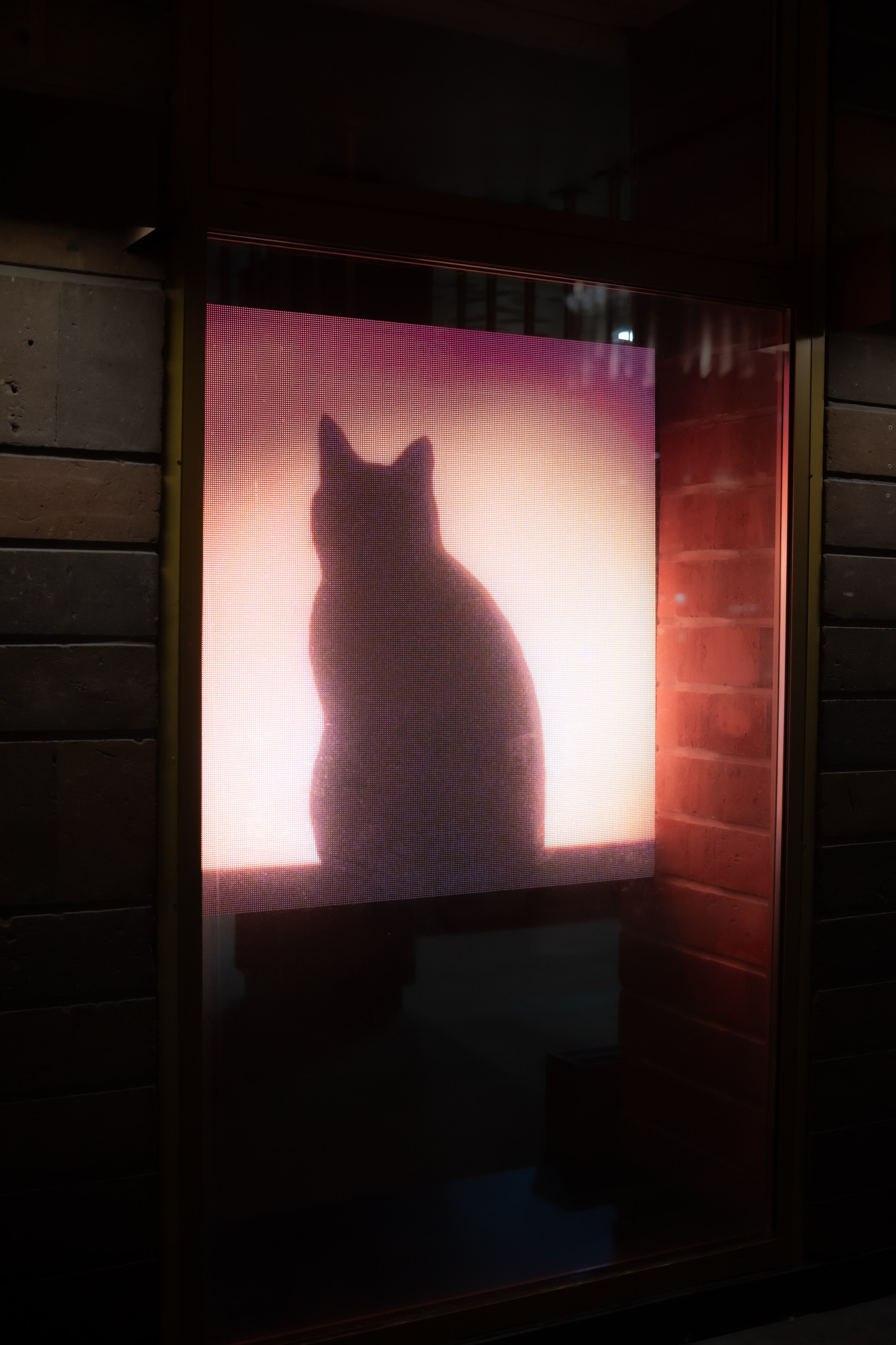 20241201 от Чеховской до Арбатской. Дмитрий Ремизов. Фотография, как хобби