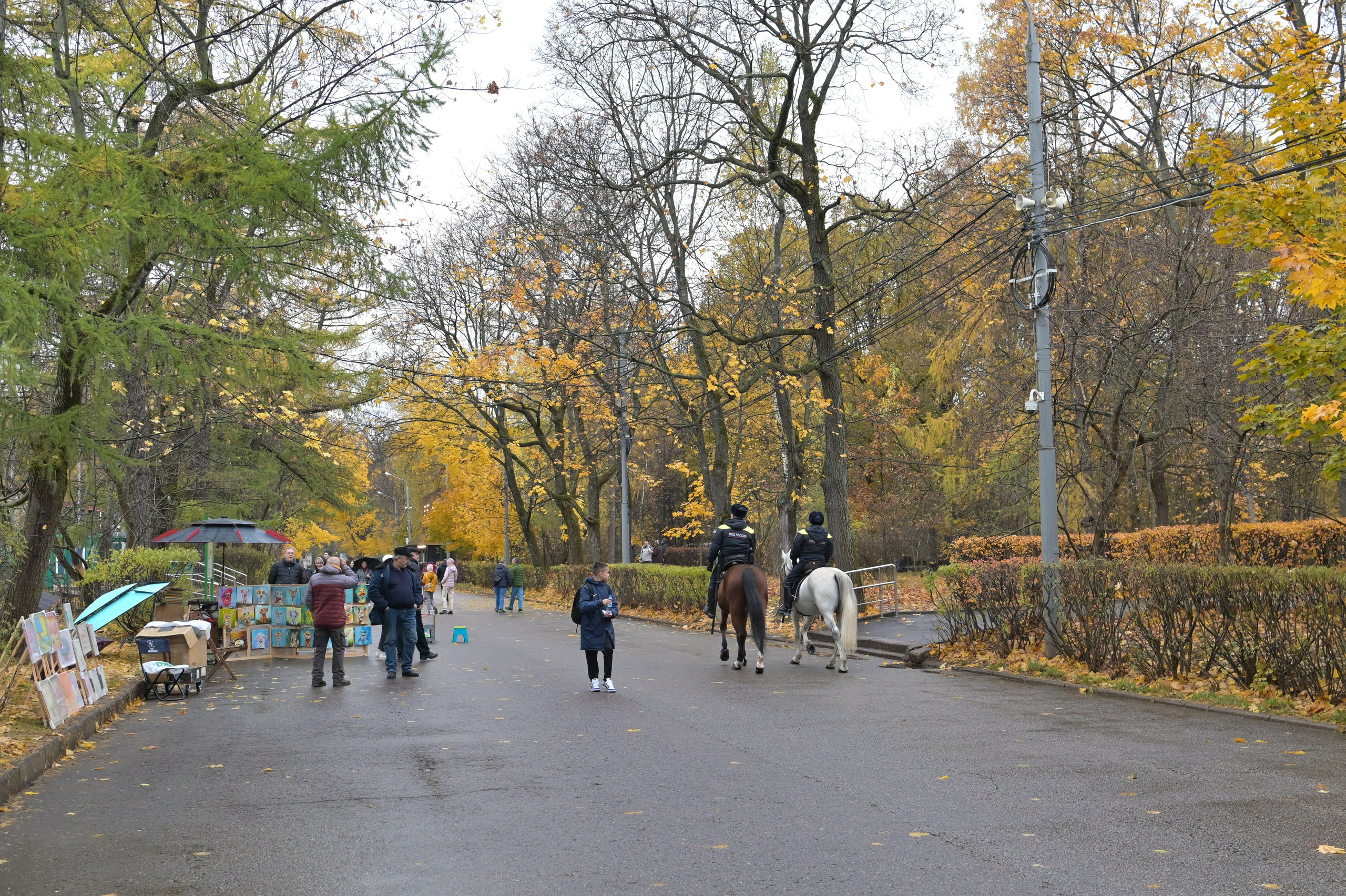 20241026 Сокольники. Дмитрий Ремизов. Фотография, как хобби