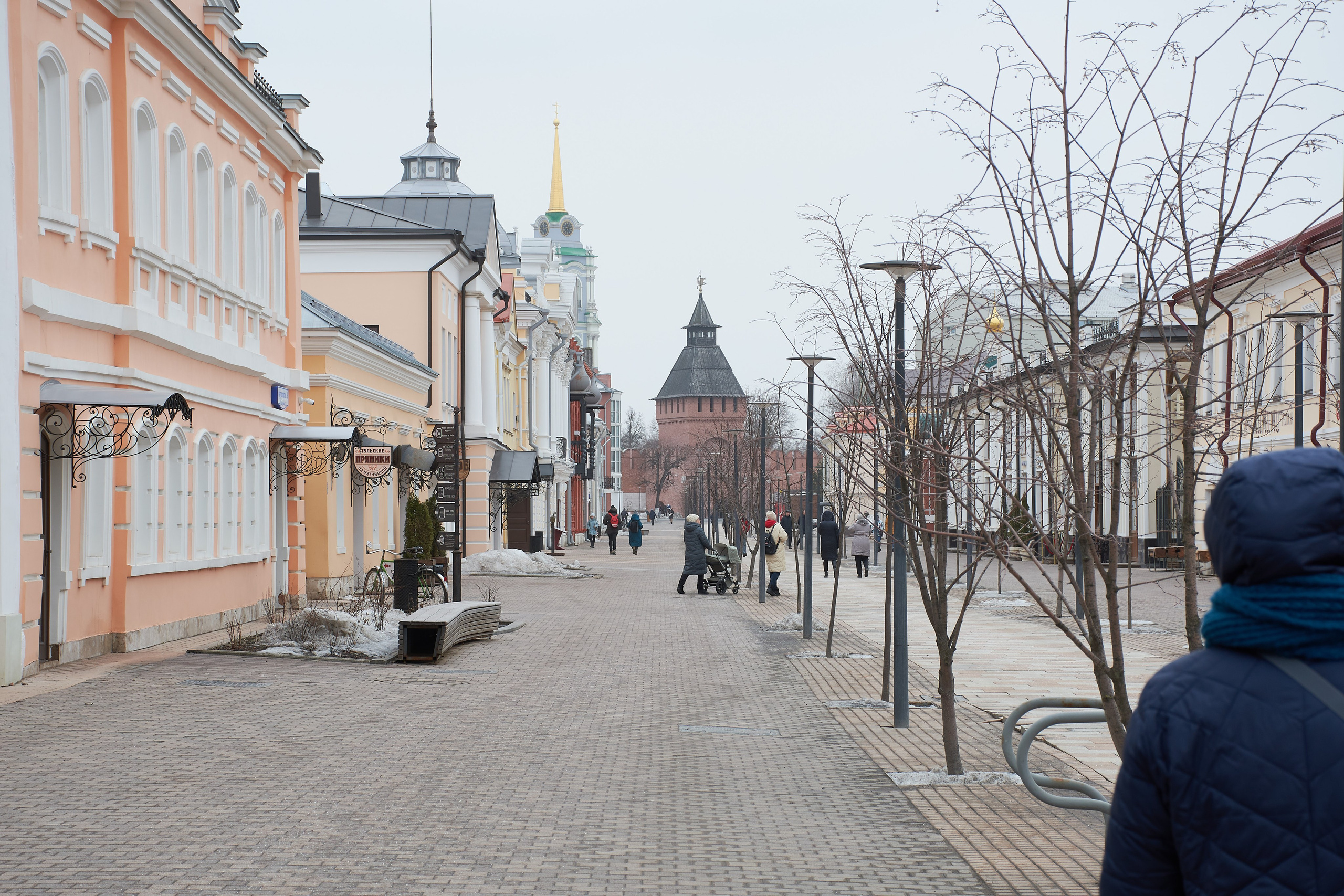 20210316-18 Тула. Дмитрий Ремизов. Фотография, как хобби