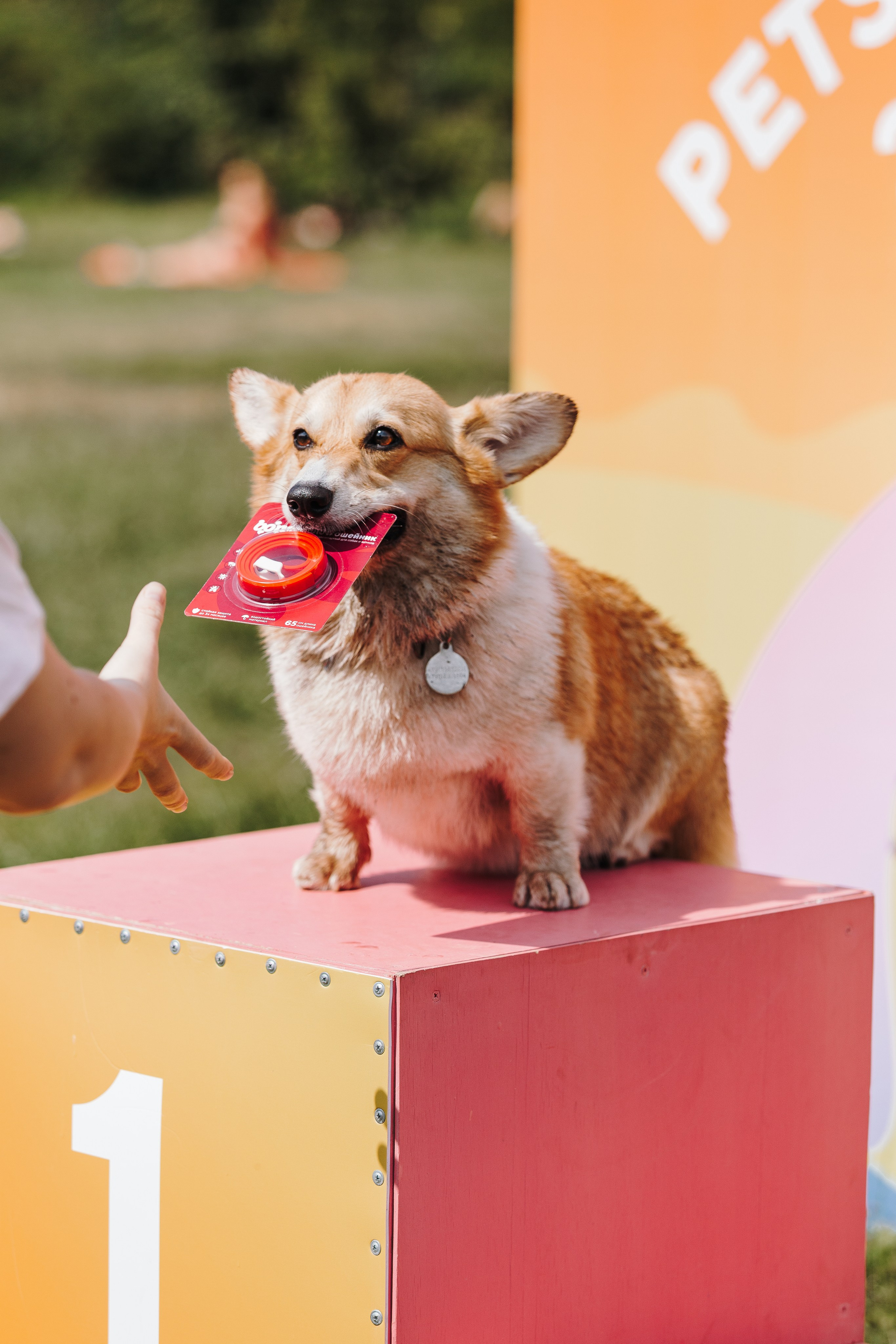 Petshop Sup day. Фотограф анималист Кристина Карпова, Москва