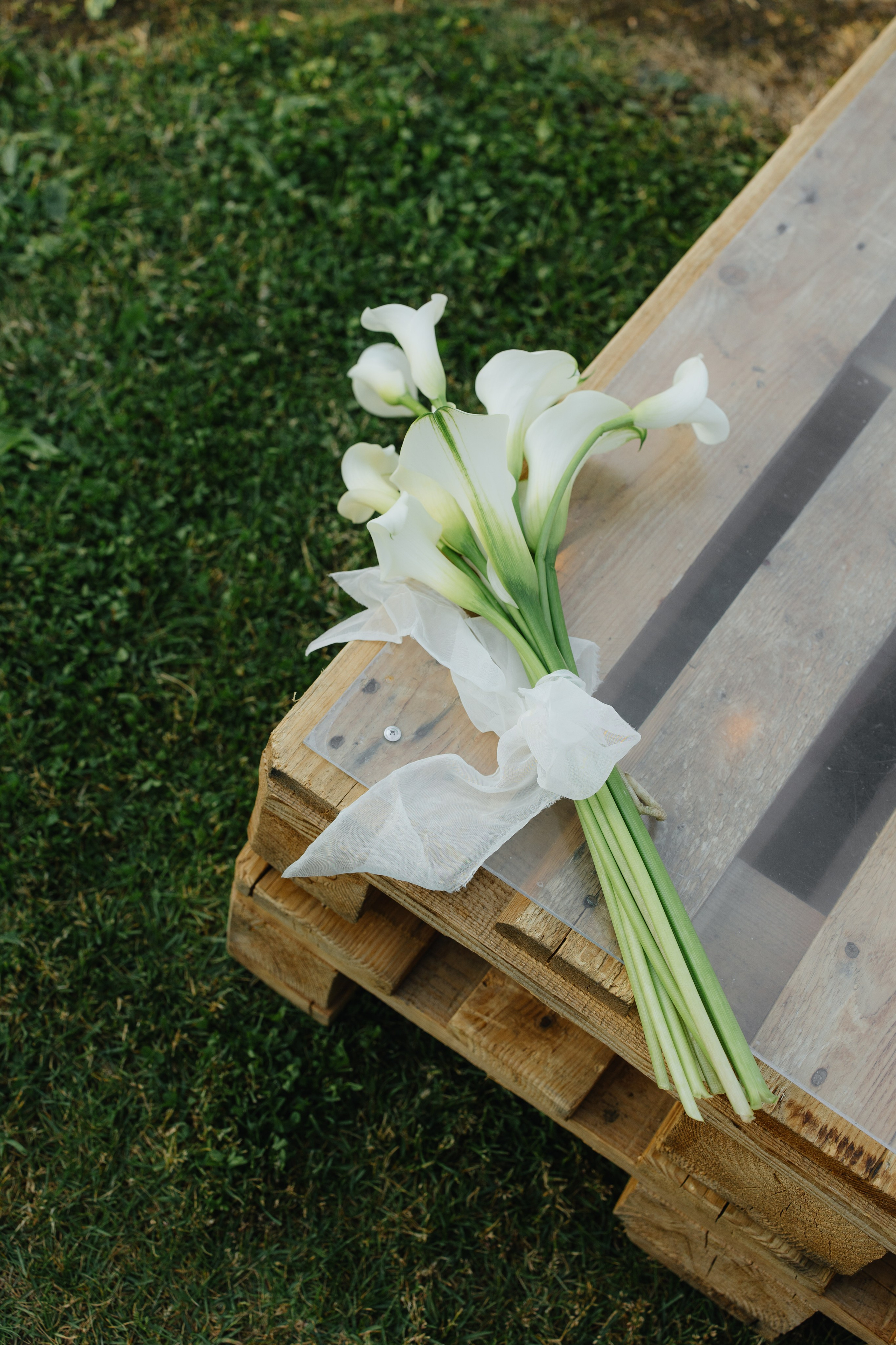 Влад и Алена | 2024. Свадебный фотограф и видеографы Минск