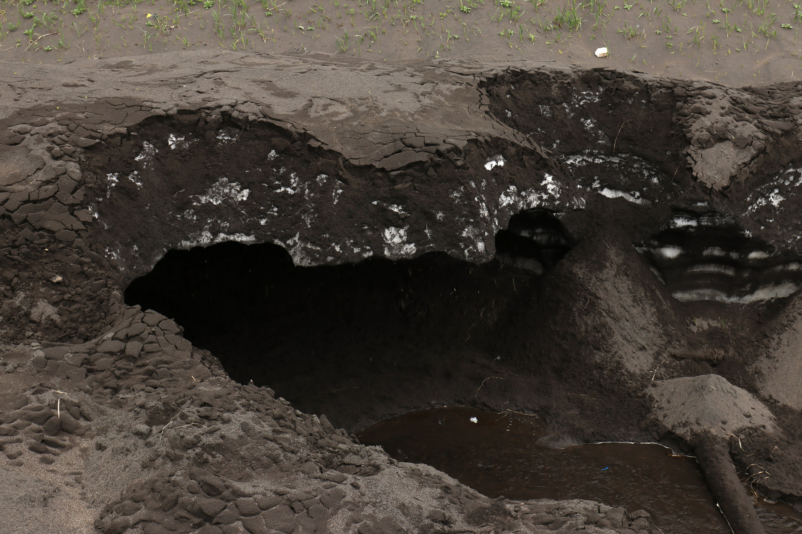 Камчатка и о. Парамушир. Июль 2024. Путешественник-фотограф из Санкт-Петербурга Татьяна Свистулина