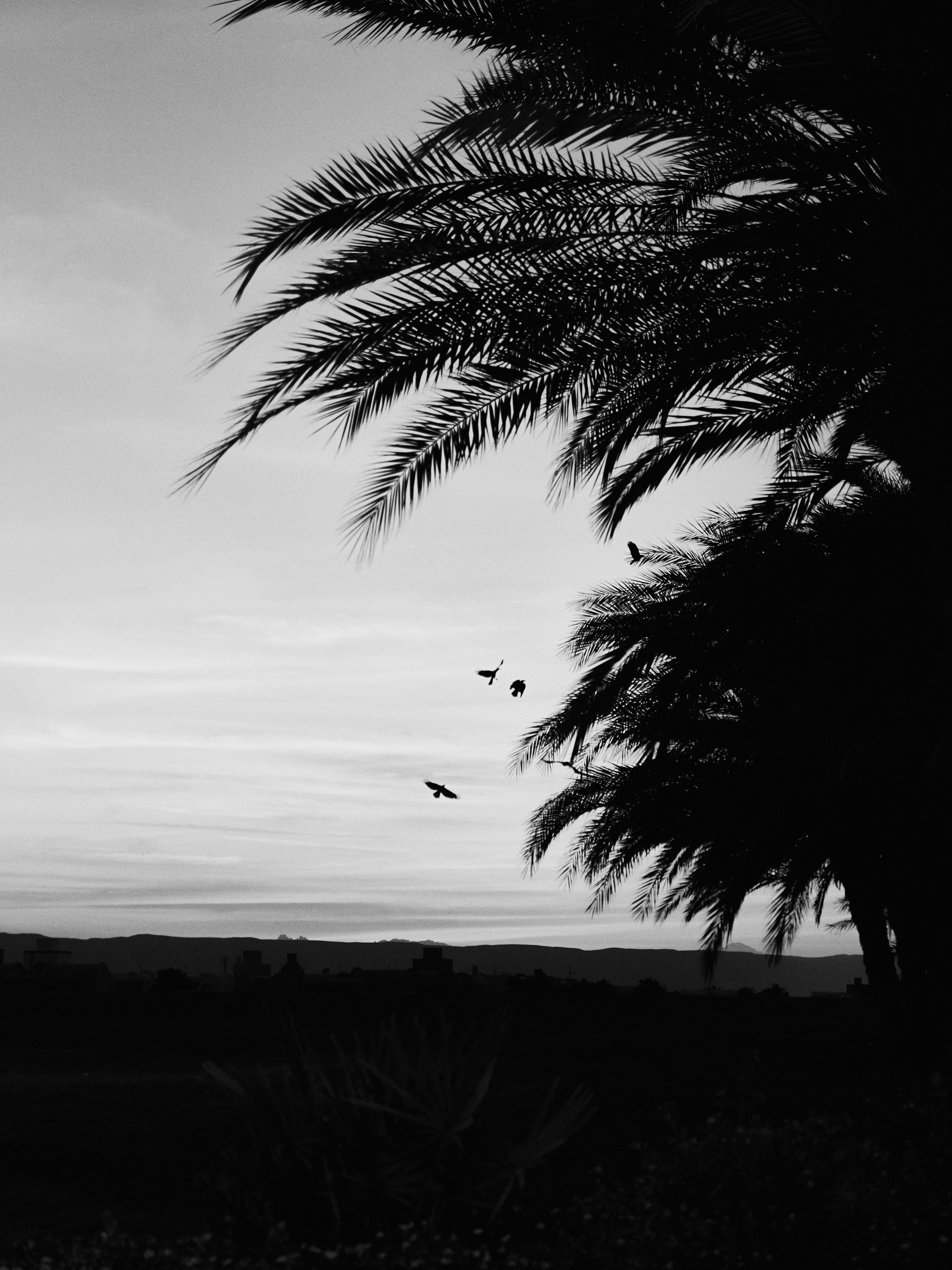 B&W. Jorgis — фотограф в Хургаде / обучение фотографии