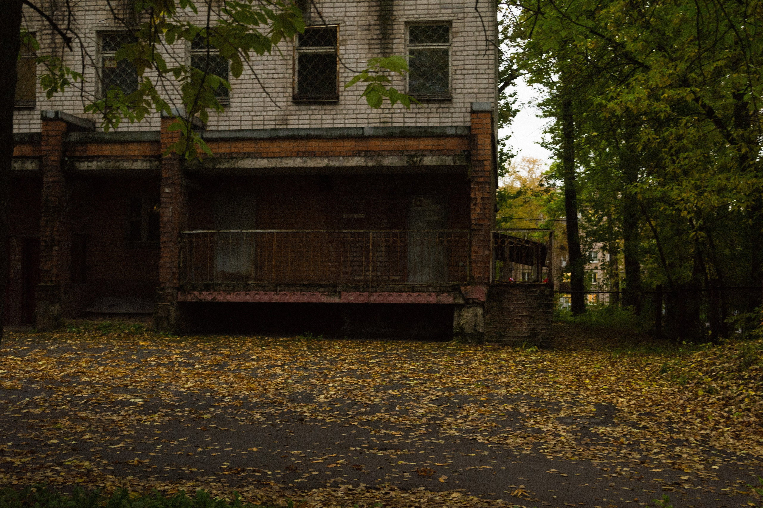 Октябрь 2025. Den Mirov — Фотограф, Музыкант