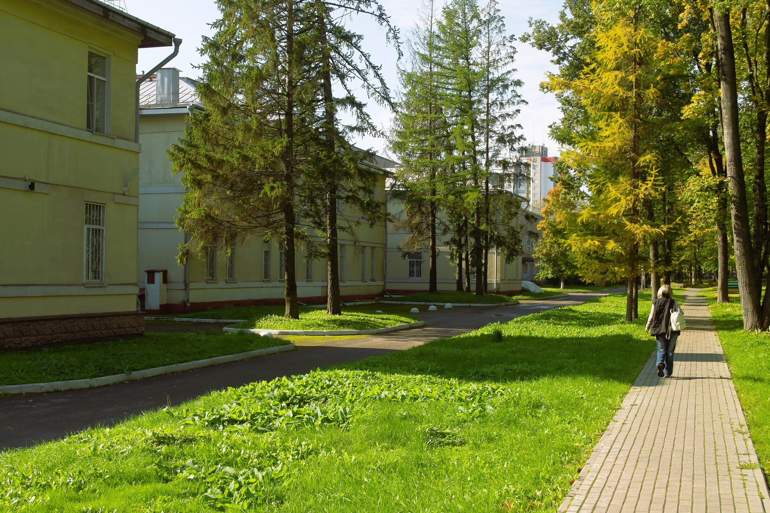 Сентябрь 2025. Den Mirov — Фотограф, Музыкант