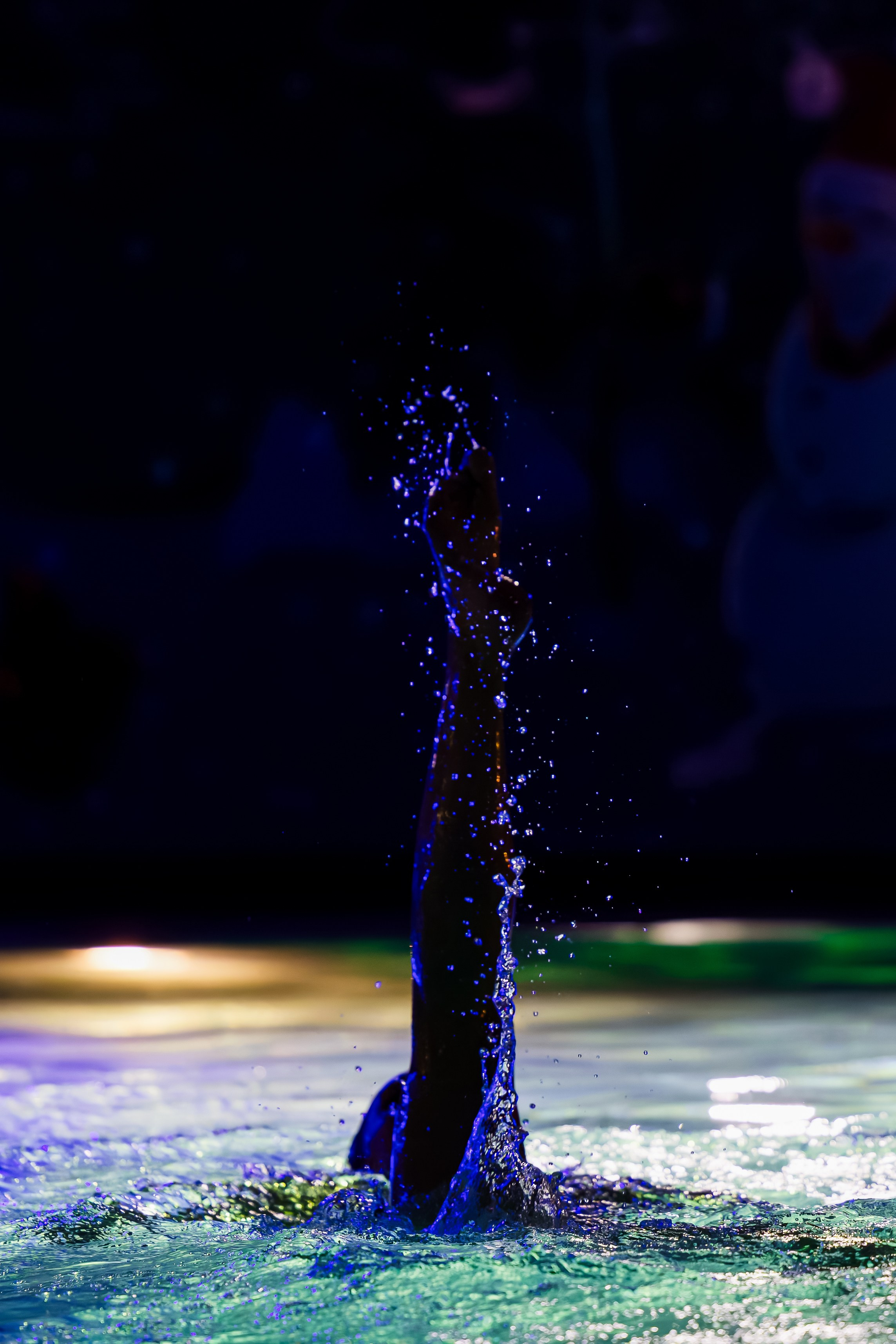 Синхронное плавание. Репортажный фотограф в Москве Екатерина Якель