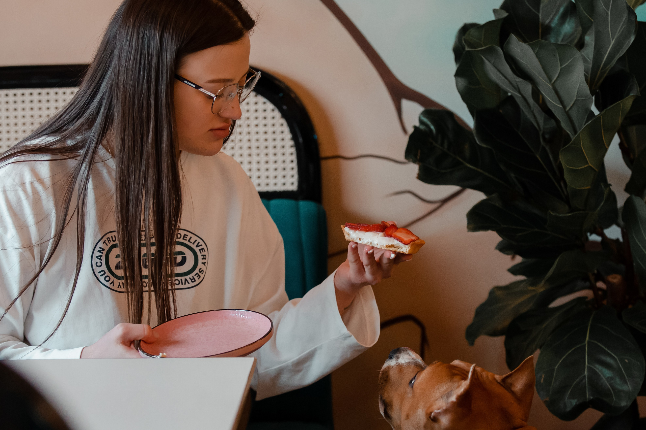 Американский стаффордширский терьер в Краснодаре. Фотограф-анималист в Краснодаре Маша Мельникова