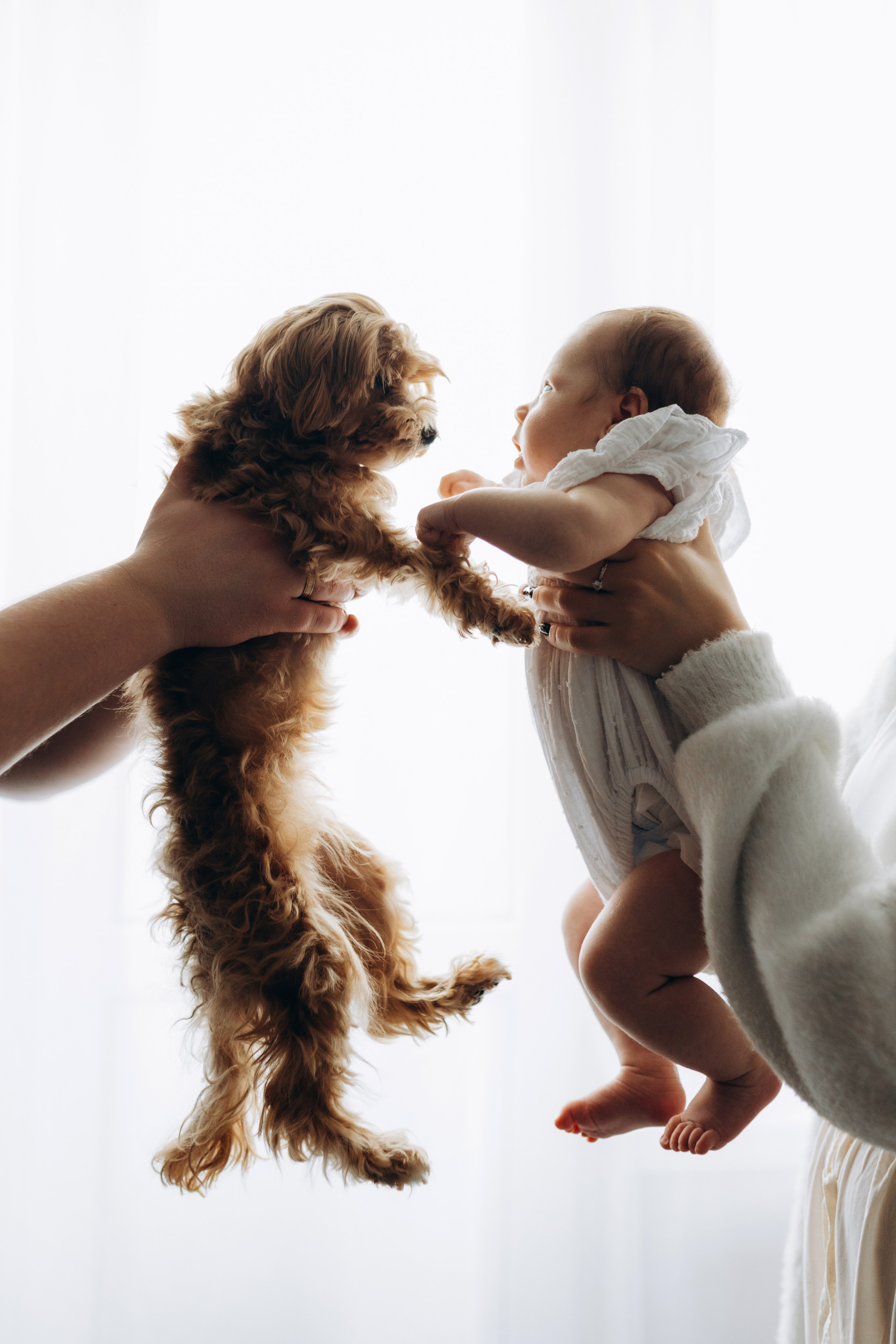 Фотосессия новорождённого Краснодар, семейный фотограф в Краснодаре Яна Морева. Семейный фотограф в Краснодаре Яна Морева