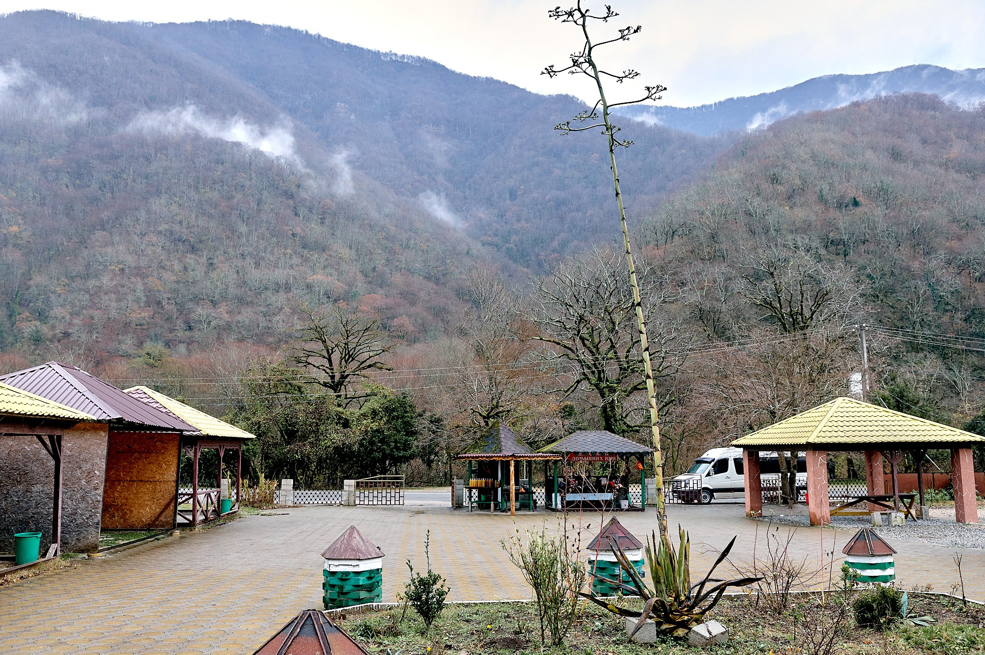 Озеро Рица, Абхазия. Декабрь 2024. Фотографии отовсюду и обо всем