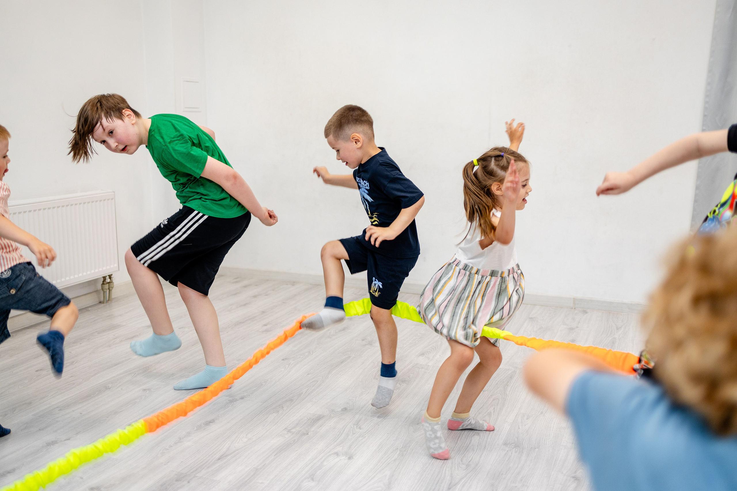 Авокадо. Фотограф Елена Медок Калининград