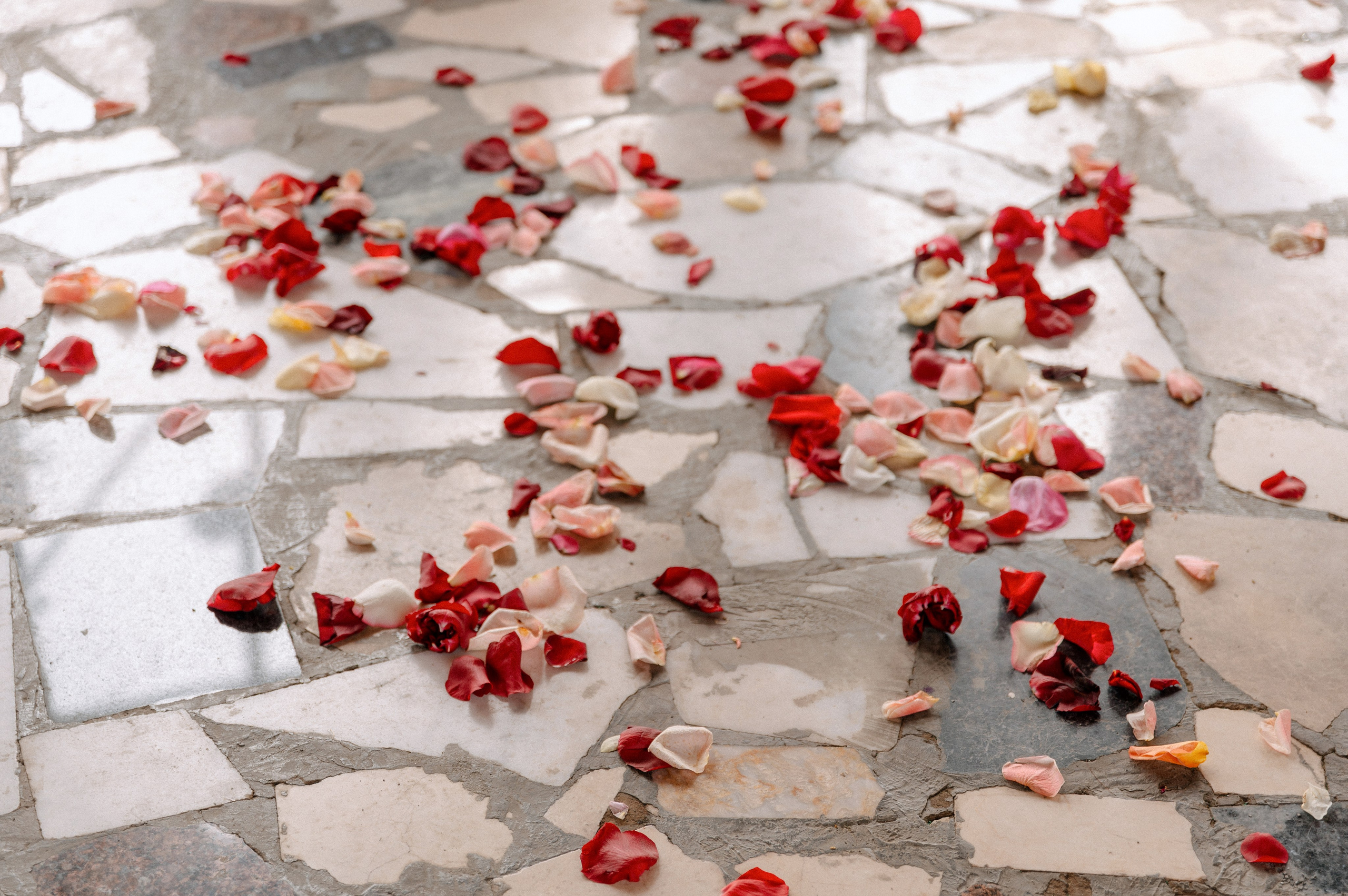 КСЮША и АРТЕМ. Шашкова Вероника / Свадебный и семейный фотограф Москва и Ярославль