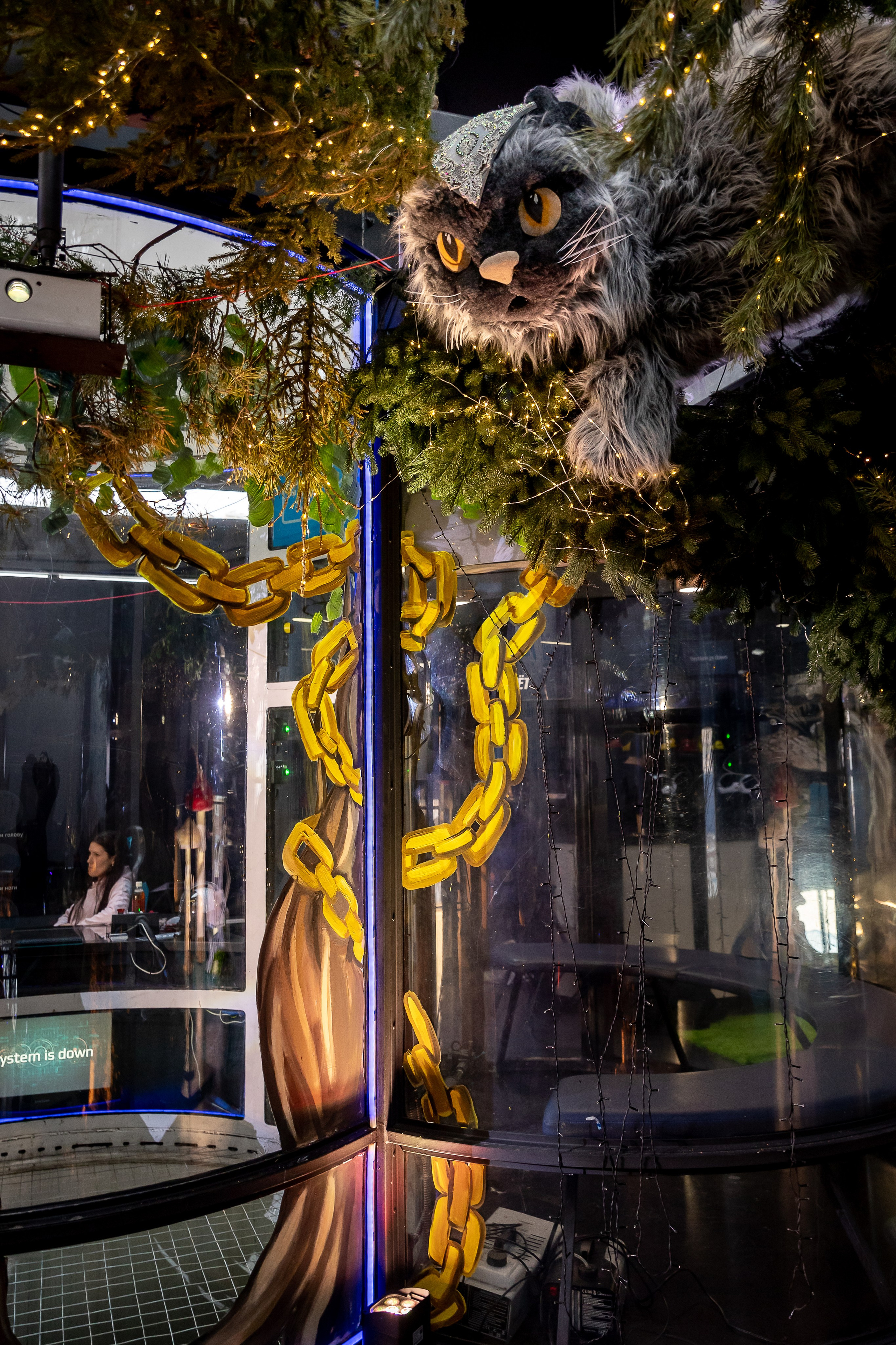 Мероприятия. Фотограф в Красноярске