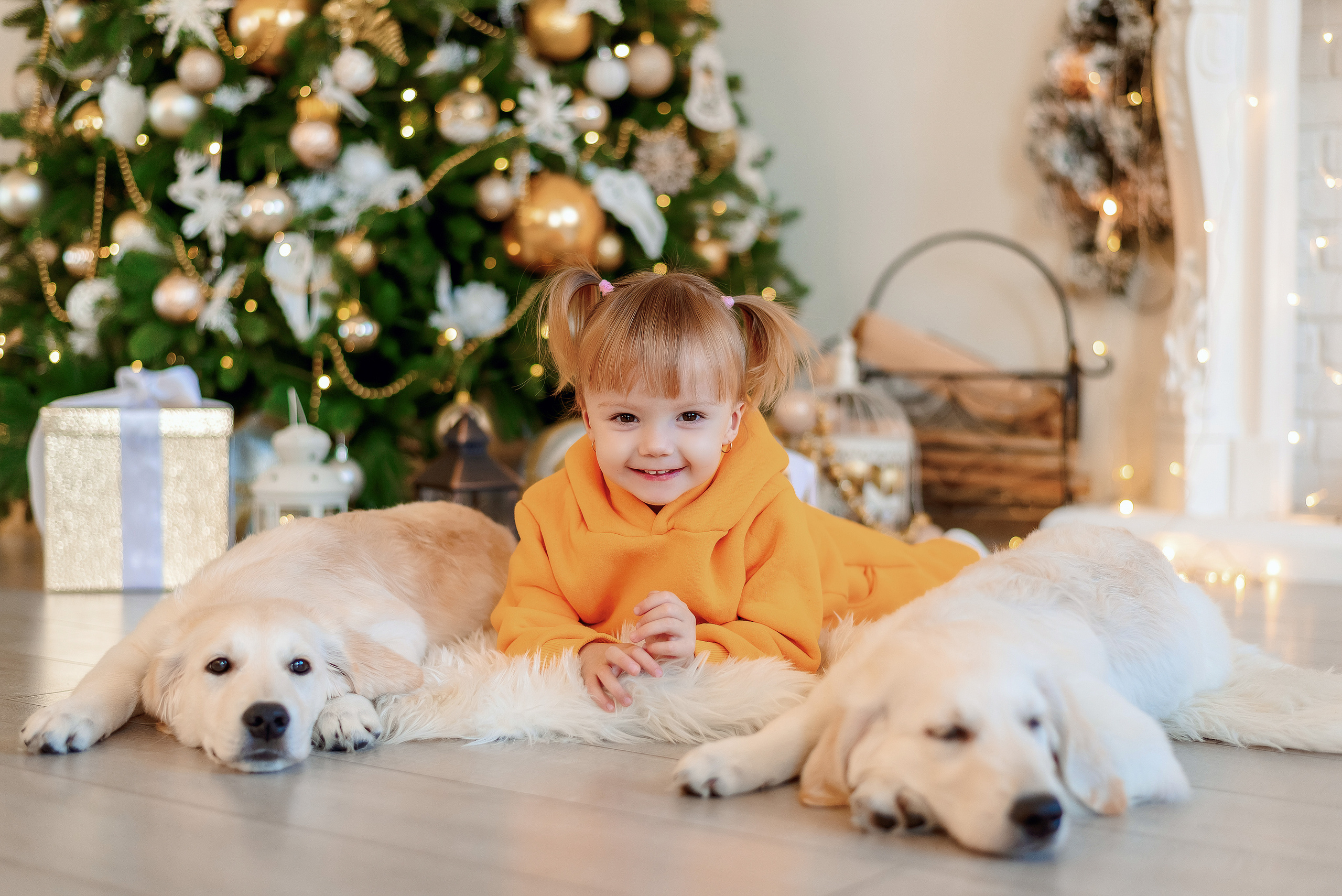 Новогодние съемки. Фотограф г. Пенза — Светлана Зойкина