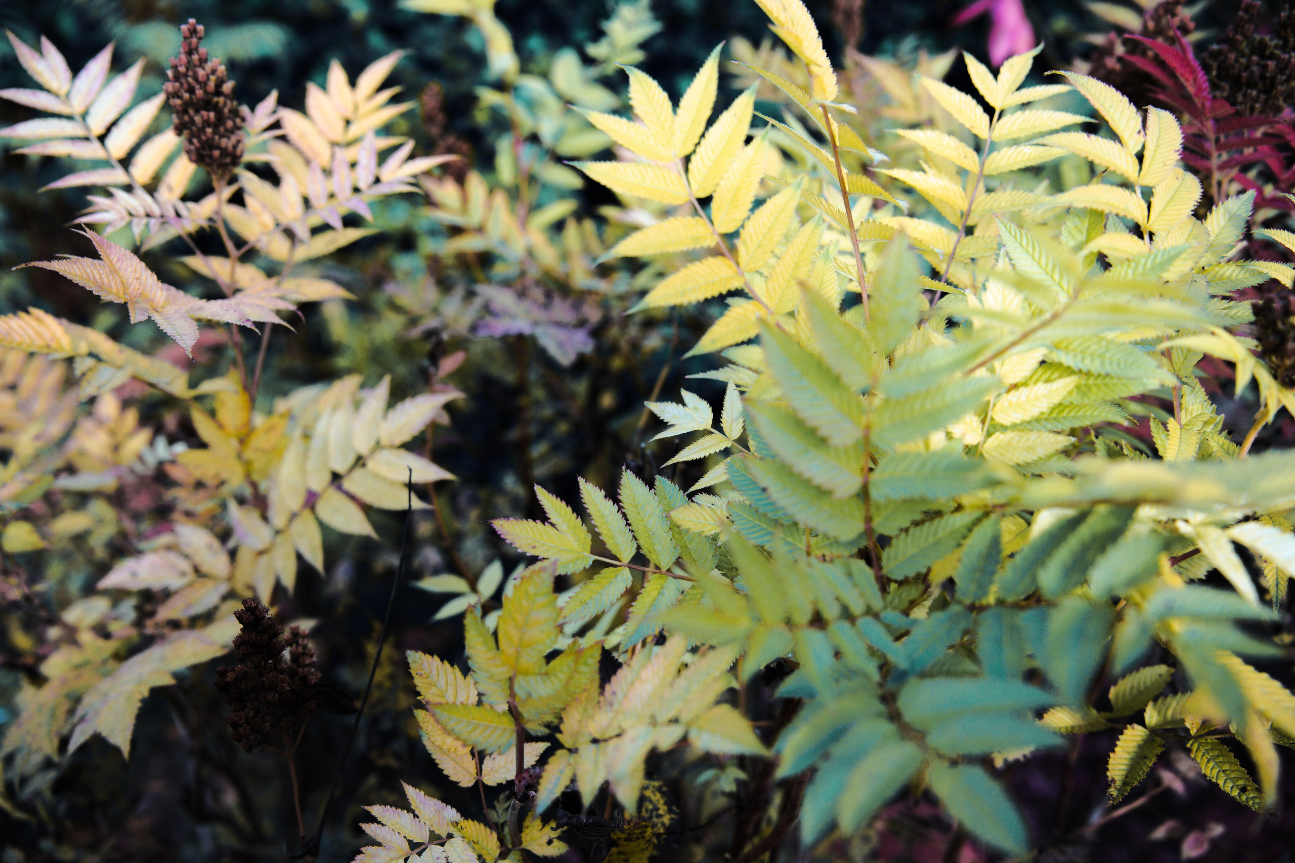 Осень 2025. Фотограф из Москвы — DASHA NOVA | Авторская фотография в разных жанрах