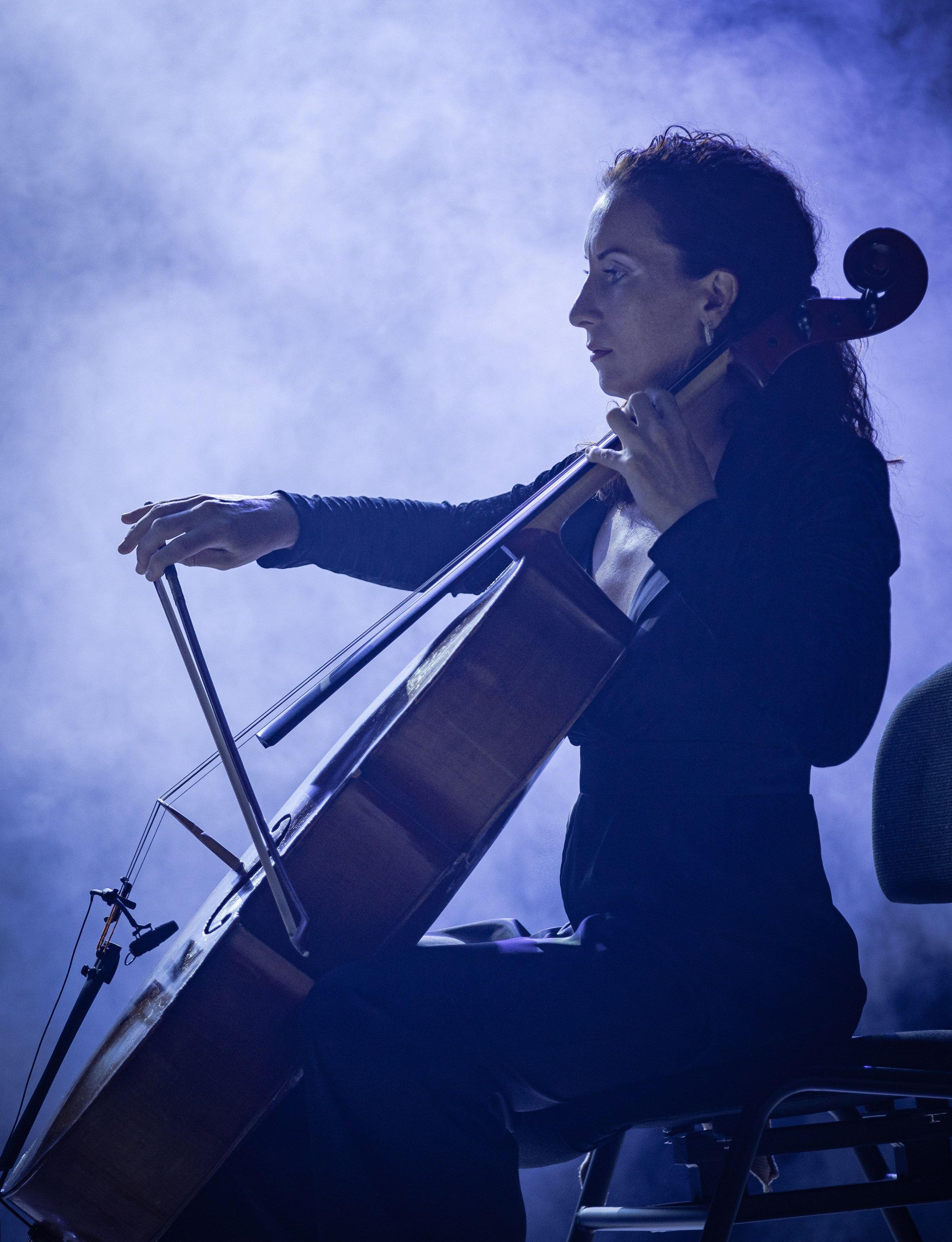 Прочие концерты (сборник). Фотограф. г. Южно-Сахалинск. Олег Толстов