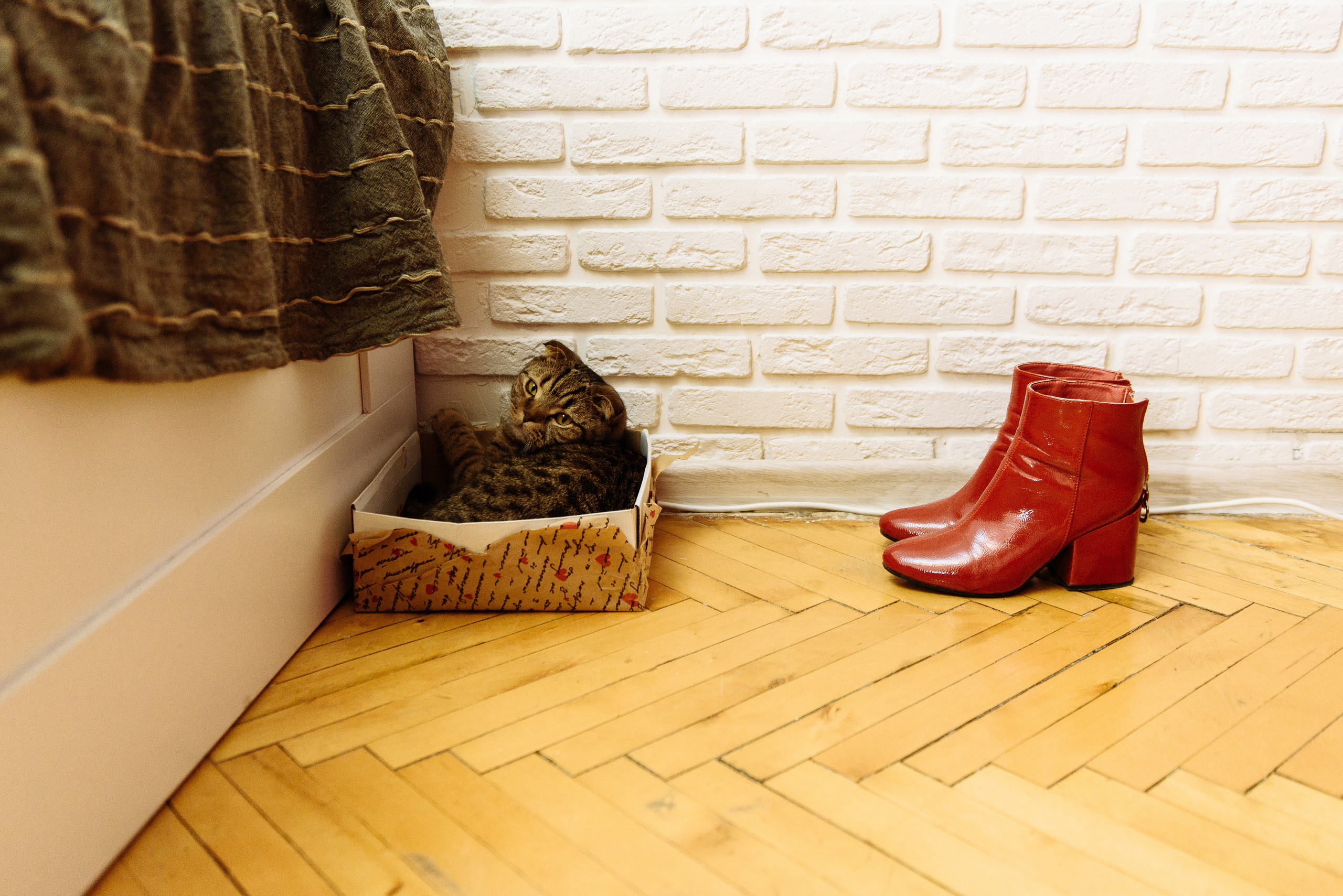 MyWed Award 2018 Сборы победителя. Свадебный фотограф Юлия Логинова