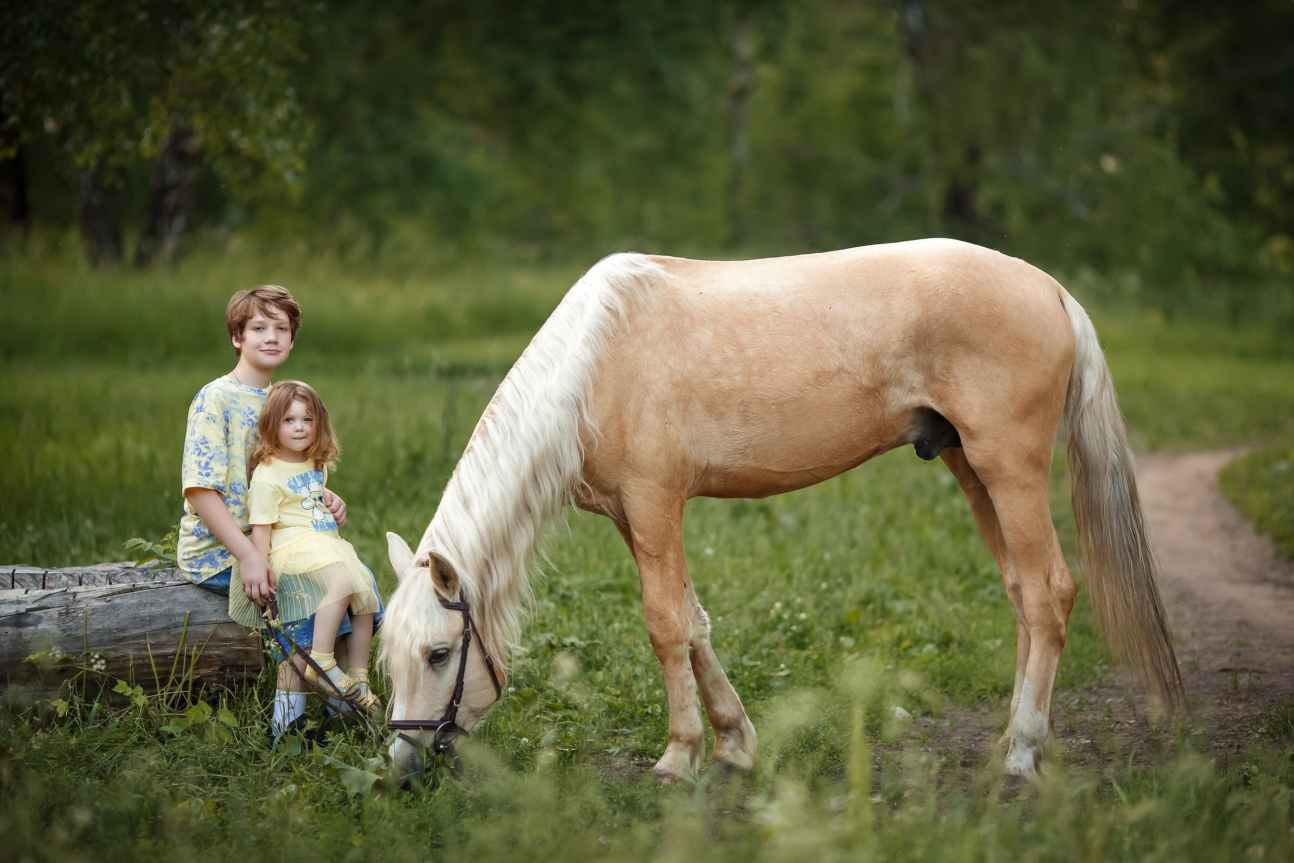 Семейные. Сказочный фотограф фотопроекты фототуры в Новосибирске и на Алтае