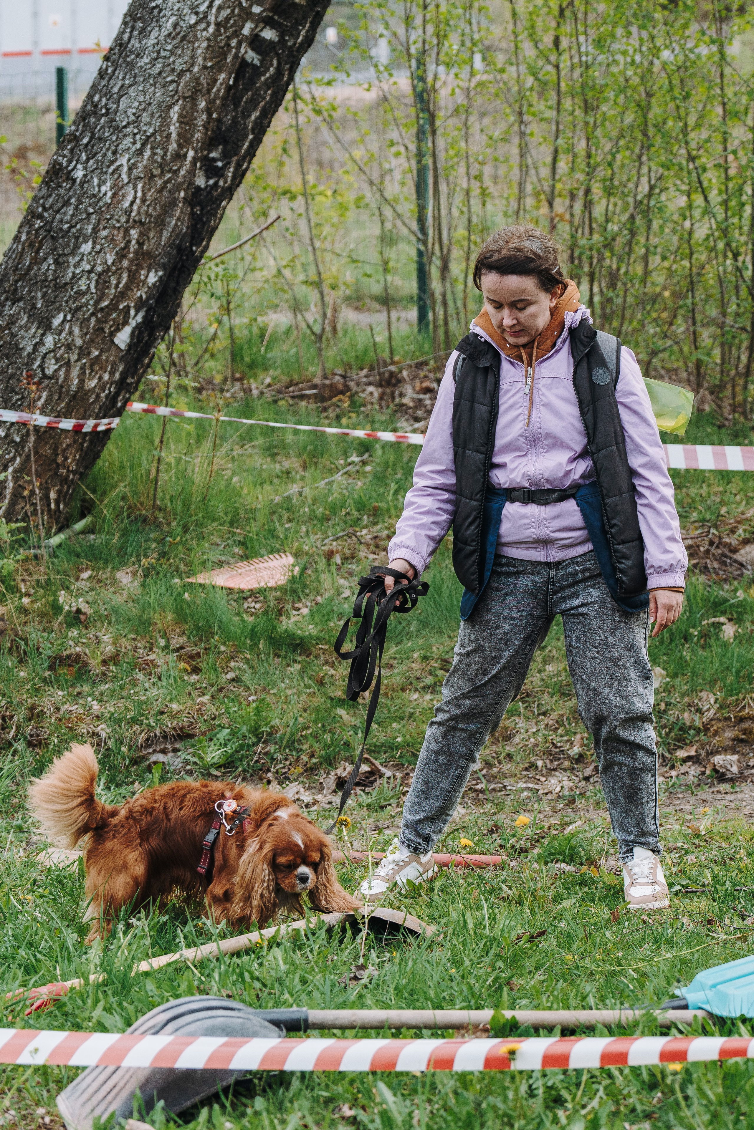 Соревнования по ноузворку в Лосево. Фотограф анималист в Спб недорого Олеся Майорова